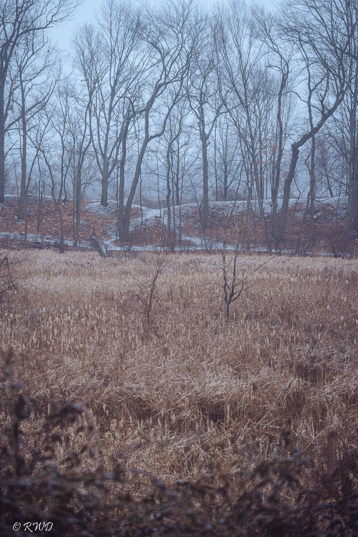 011223_SnowyDividendPond.jpg