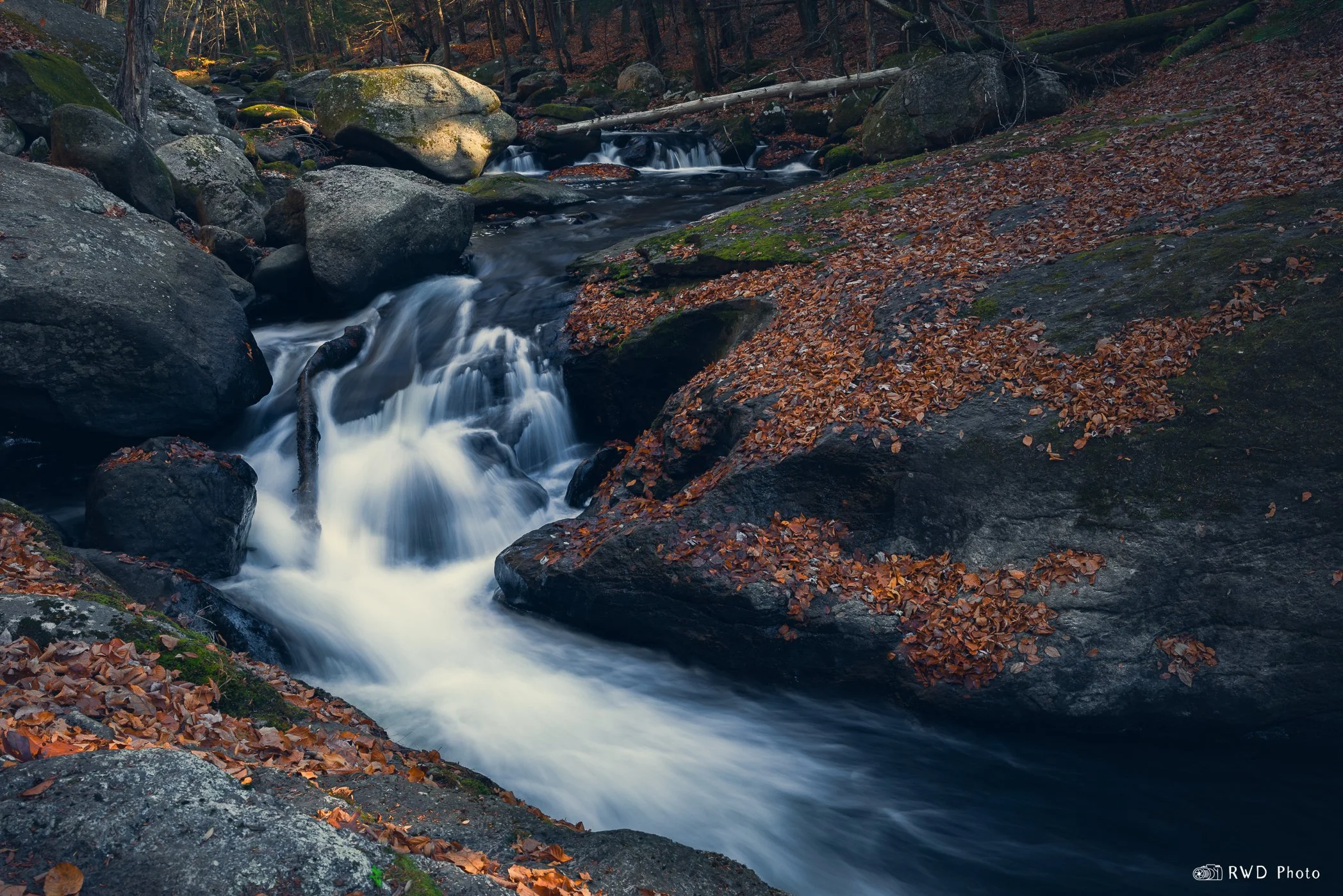 110324_CottonHollow-4.jpg