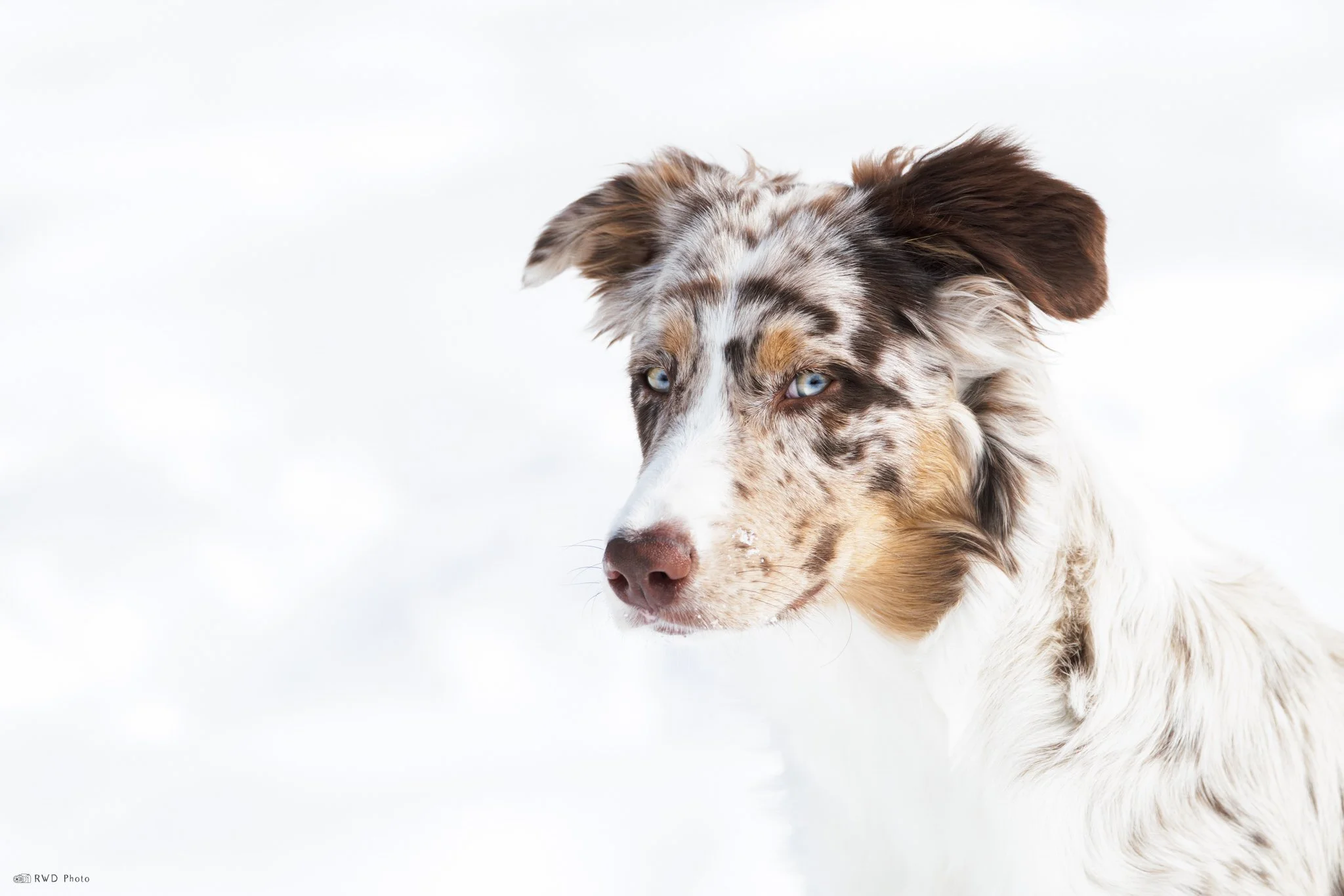 021525_Mable.jpg