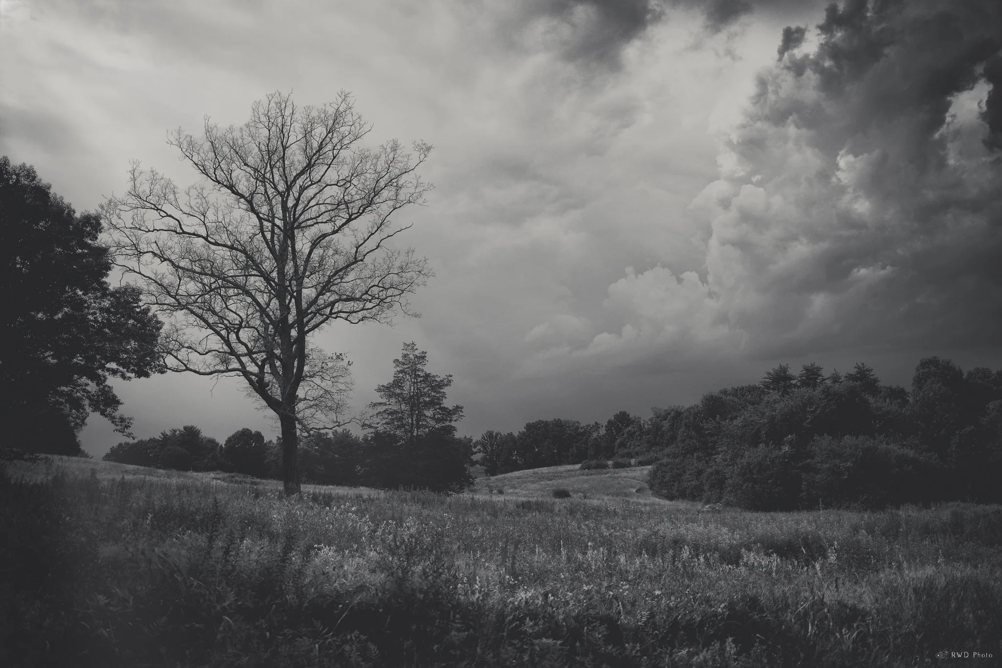 072024_Farmington-1.jpg
