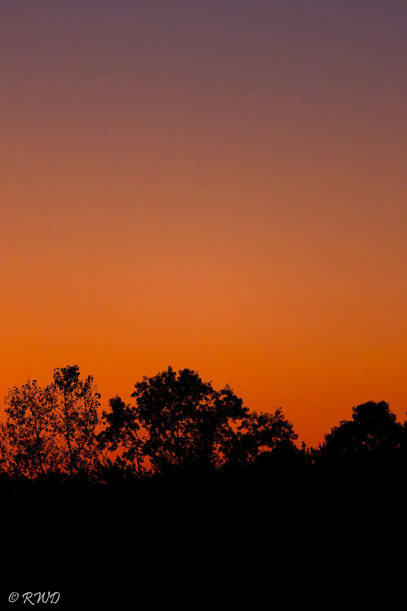 100323_Sunset-1-3.jpg