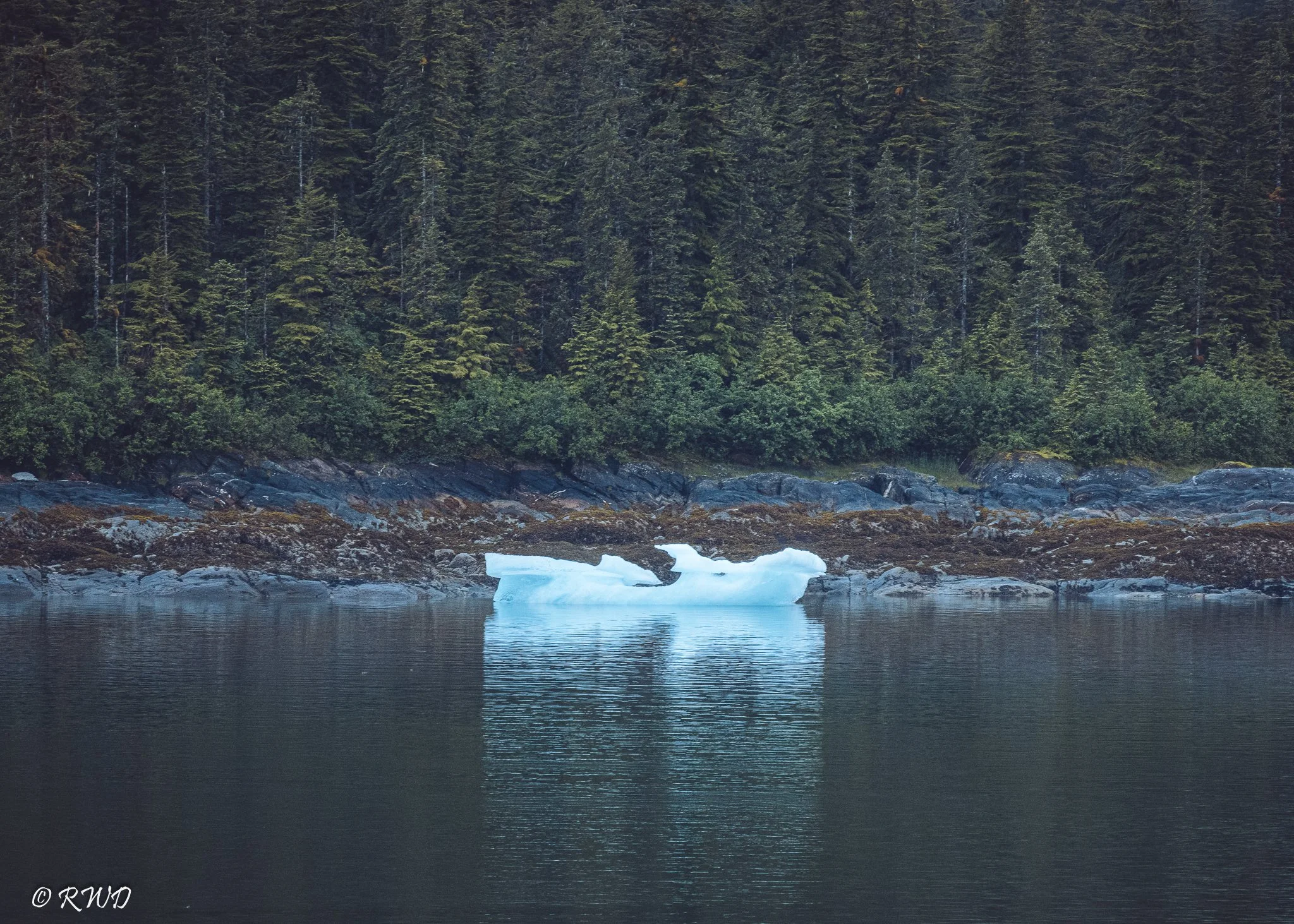 070123_Alaska-2.jpg