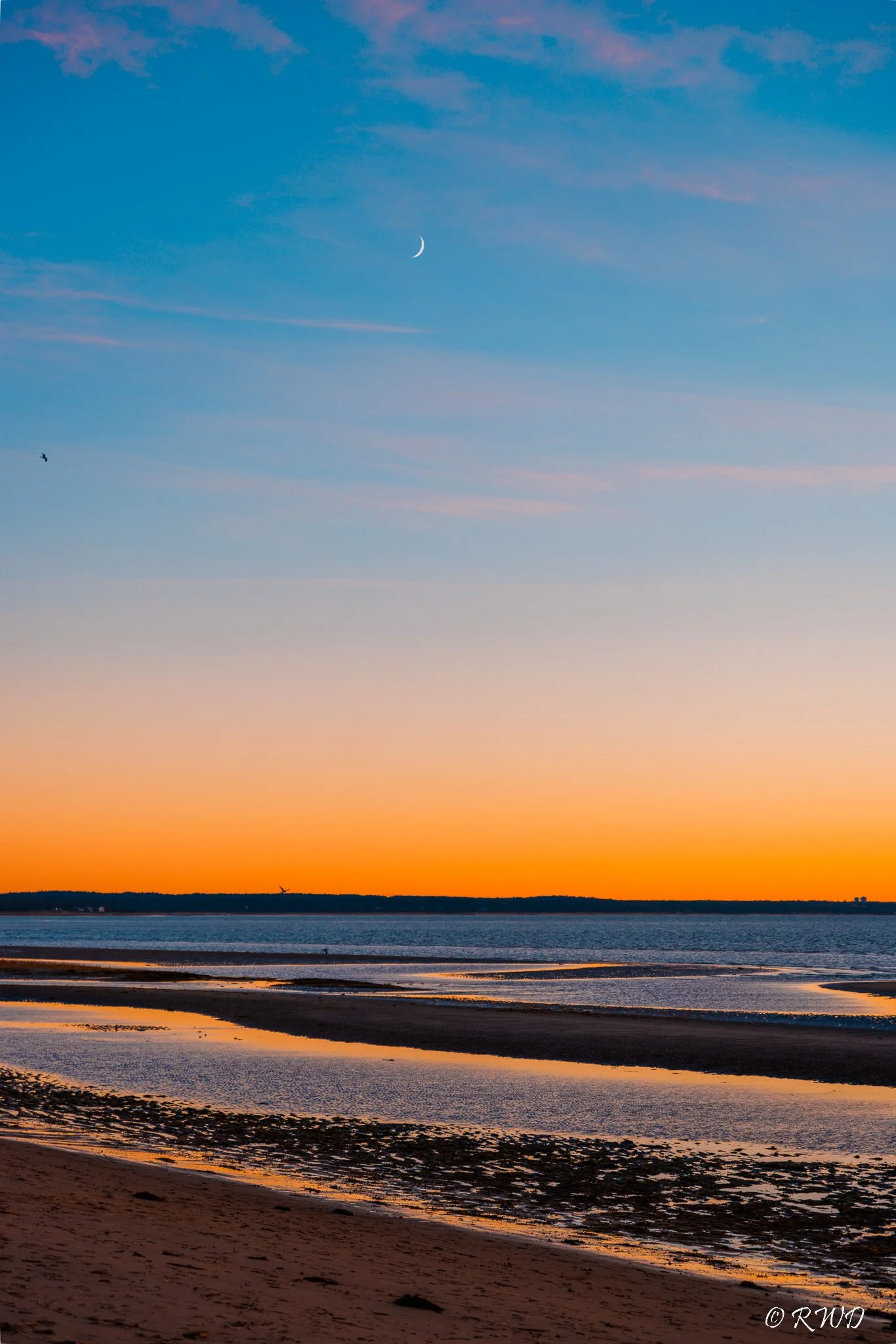010623_OrangeTeal-2.jpg