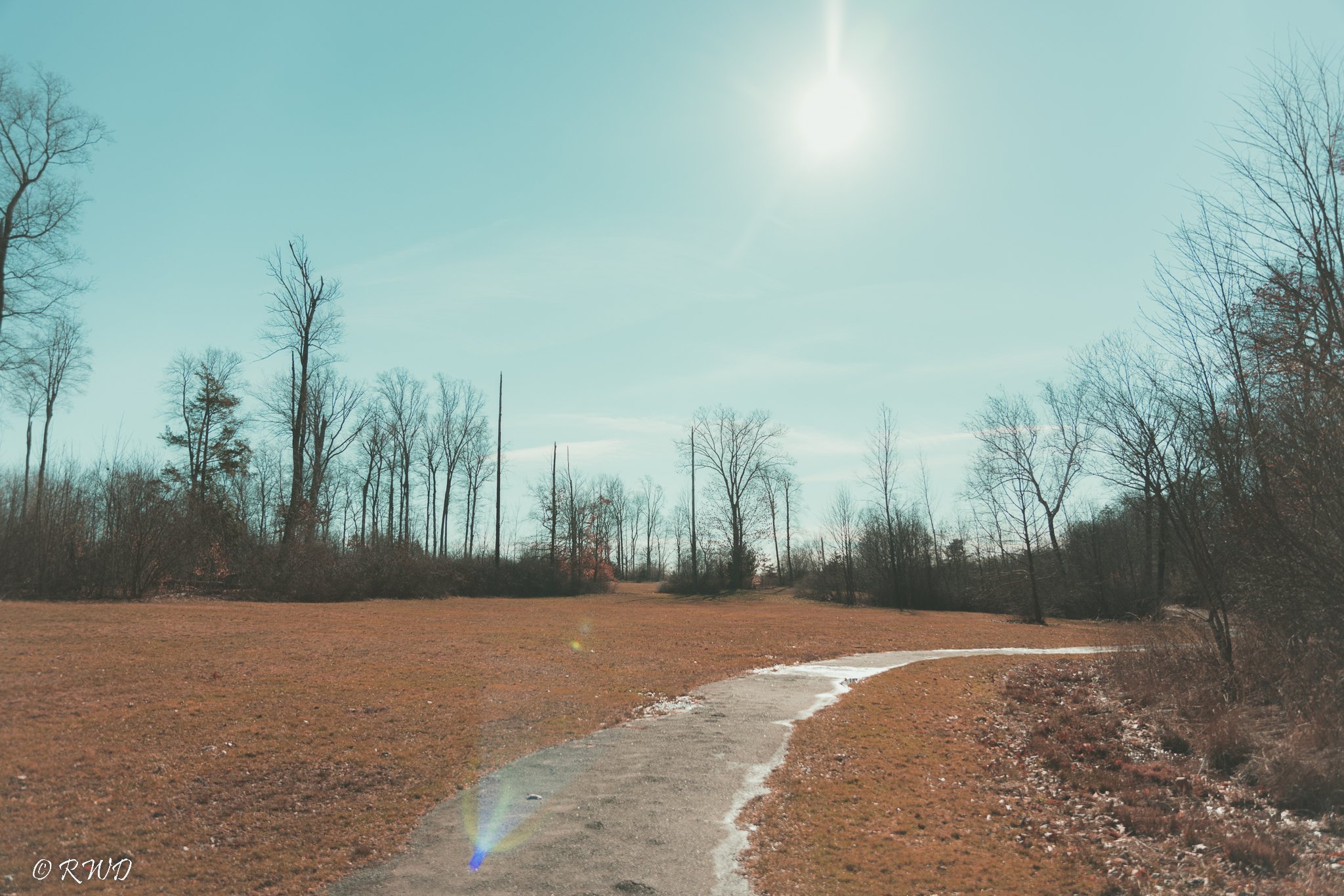 012823_SunnyDay.jpg