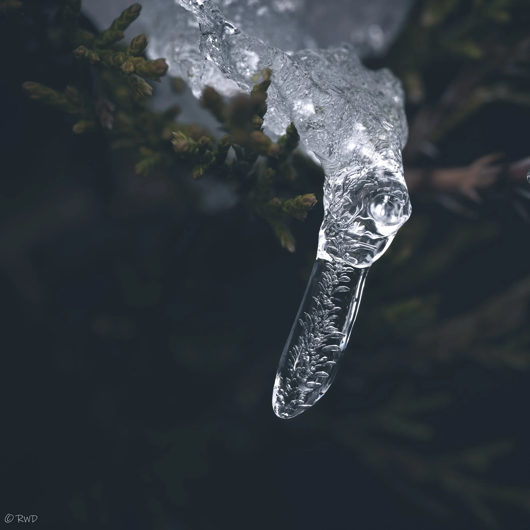 010924_IceDrop-1.jpg