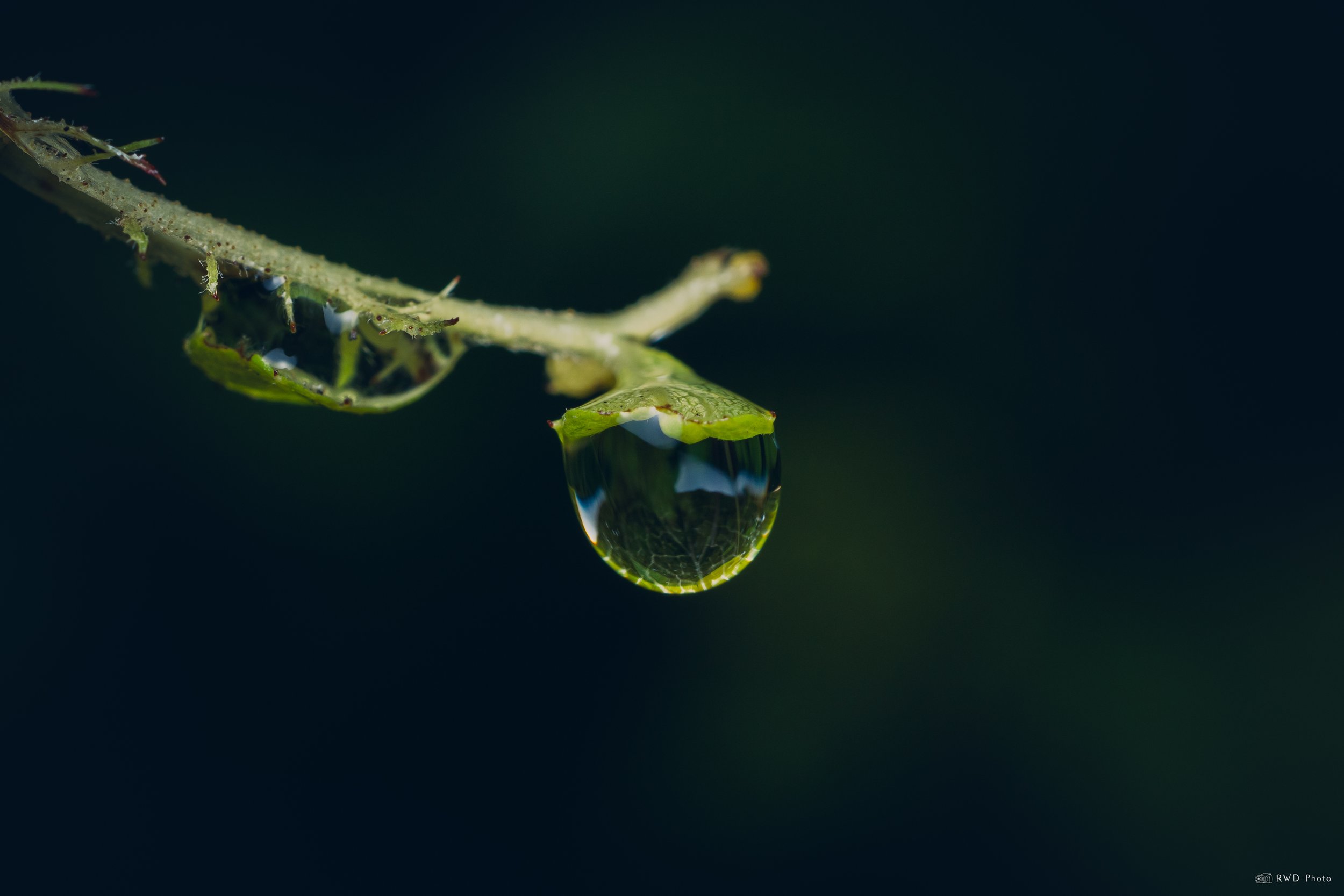 090725-WaterDrop-1.jpg