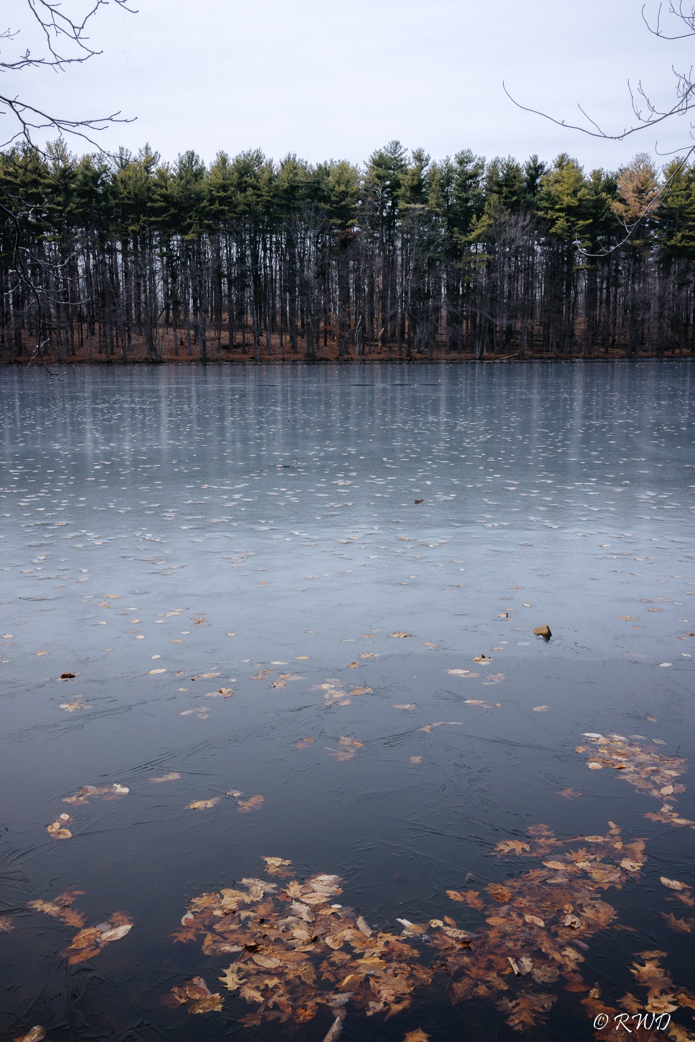 021223_GuiffridaPond.jpg