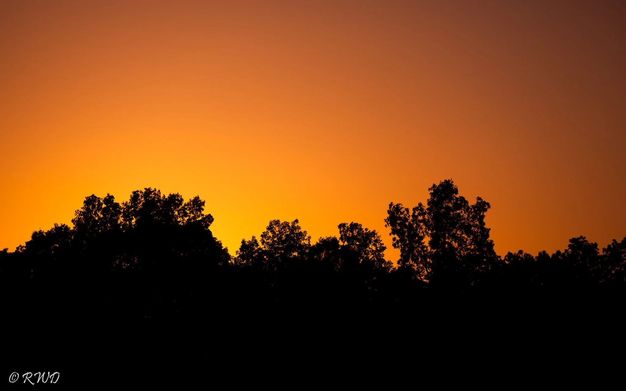 100323_Sunset-1-2.jpg