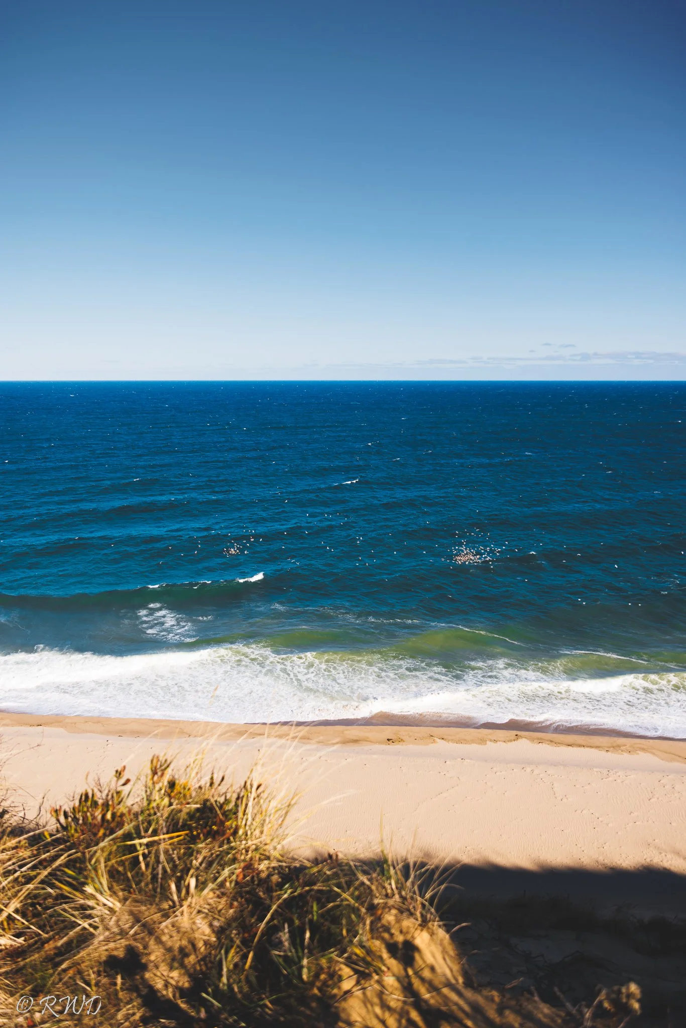 112622_TruroCliffs-9563.jpg