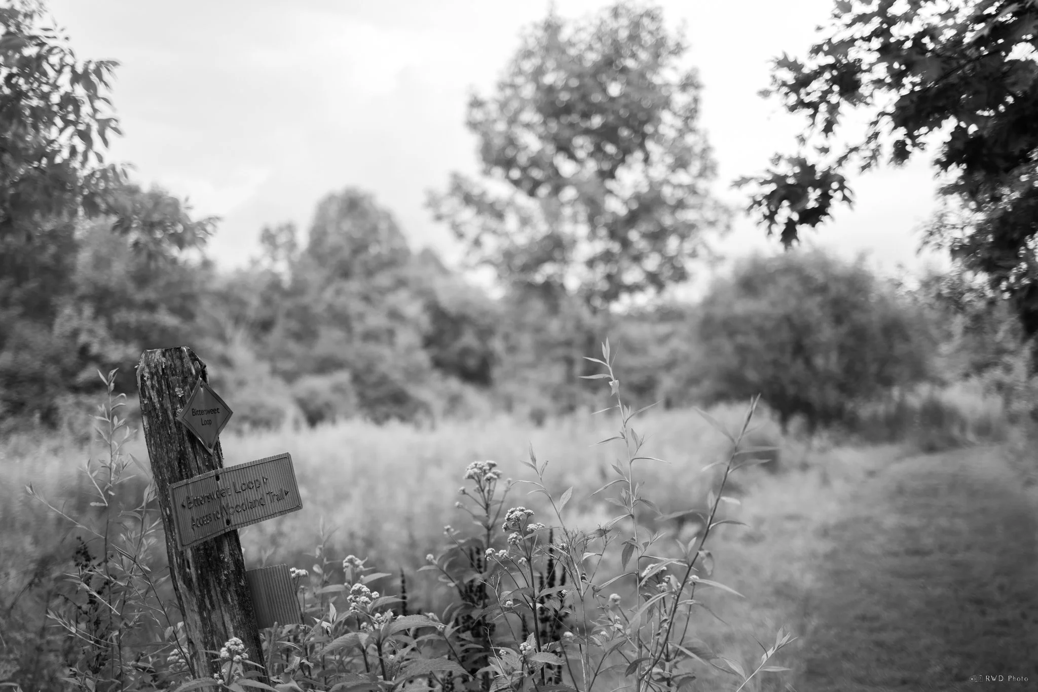 072024_Farmington-4.jpg