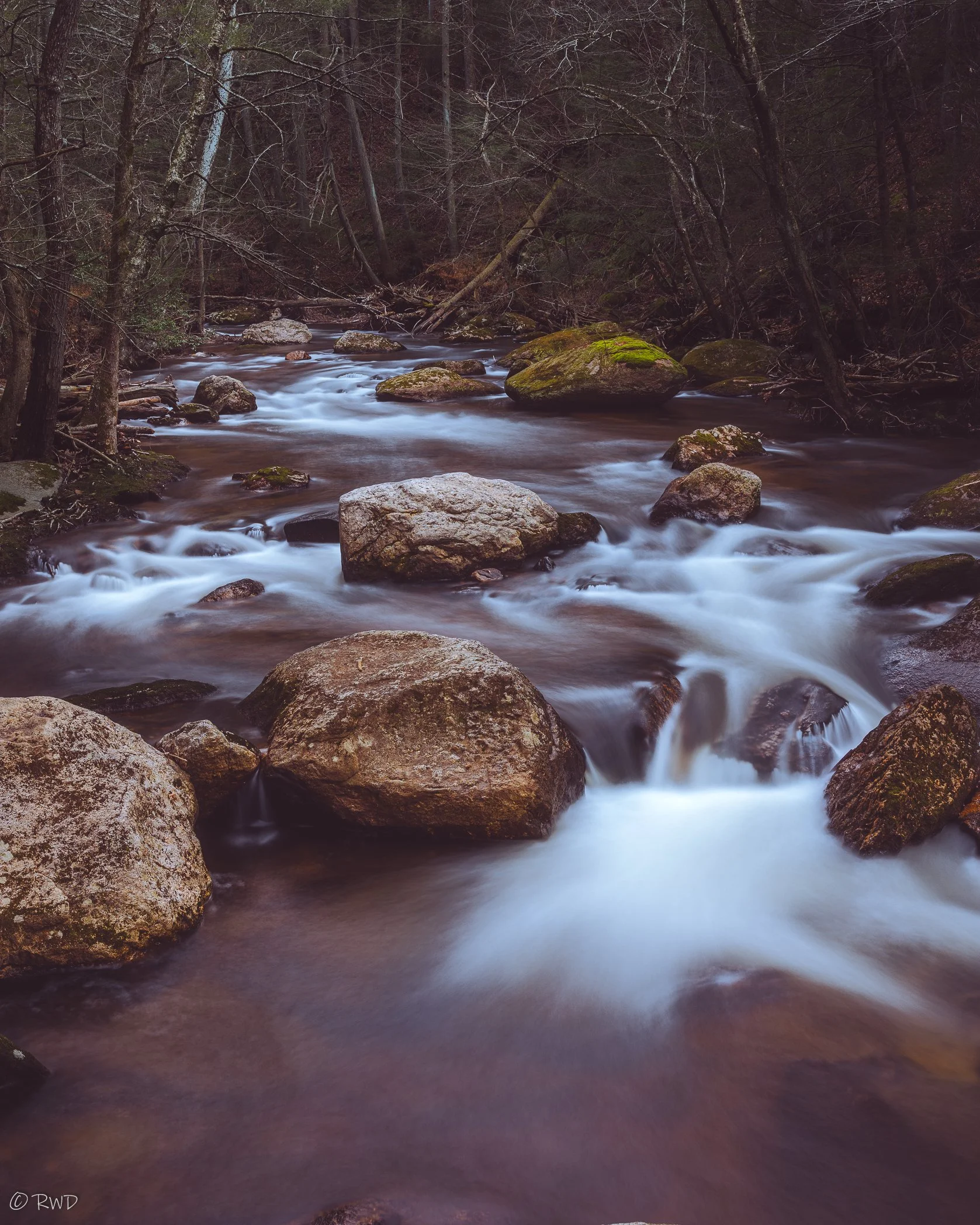 010123_CottonHollow-1.jpg