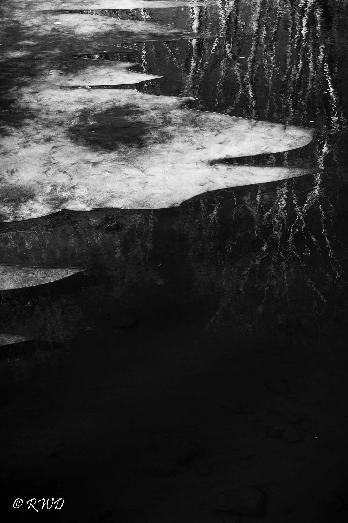 122622_BW_IceFloat.jpg