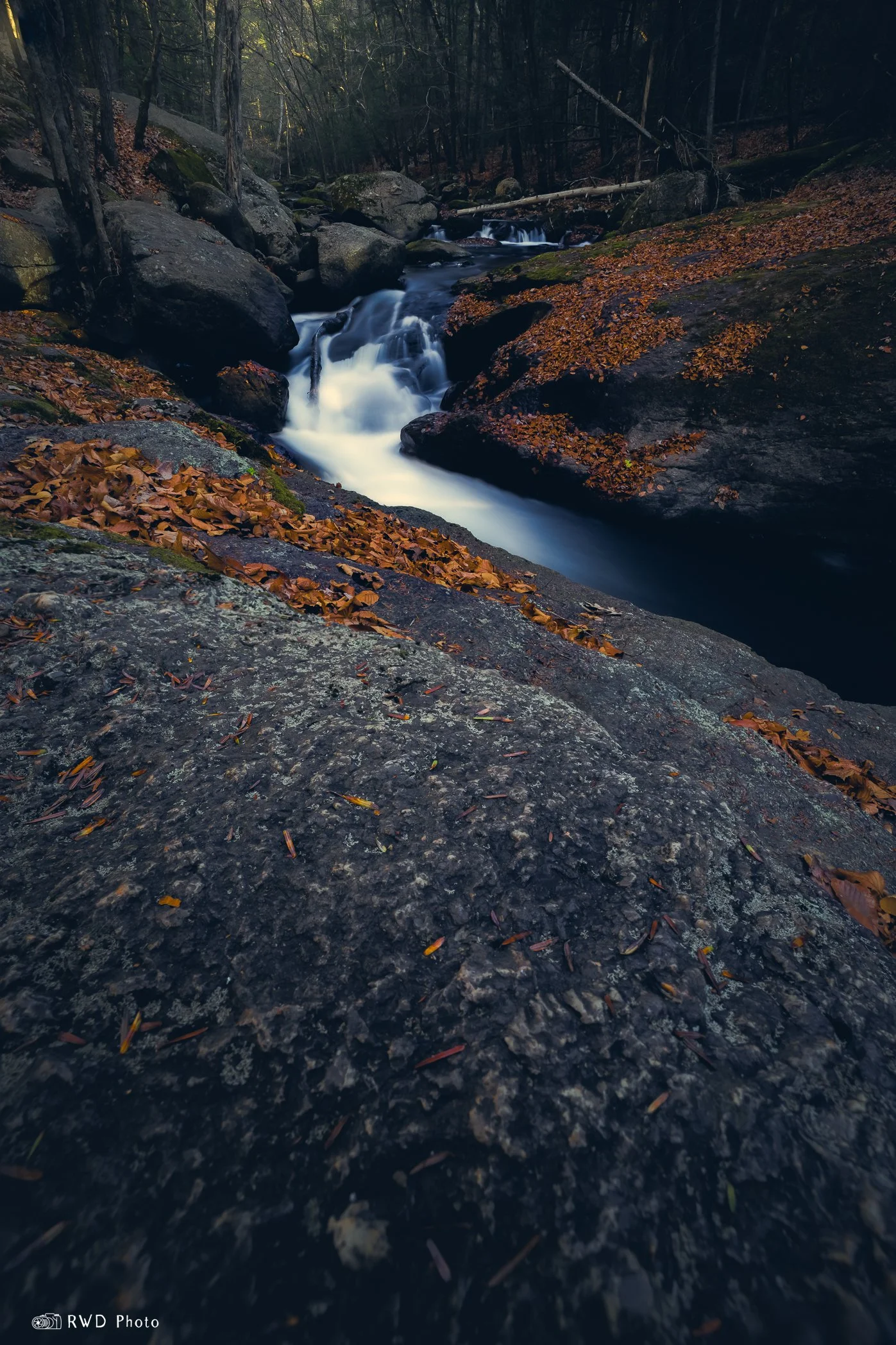 110924_CottonHollowA-1.jpg