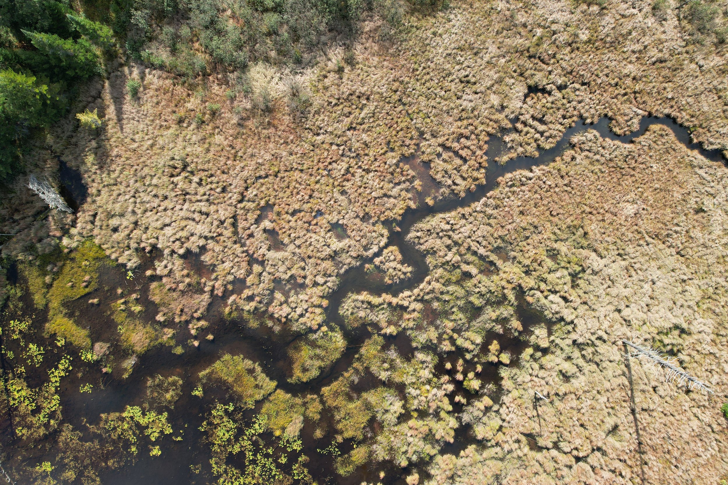 dji_fly_20221008_135818_22_1667070054703_photo (1).jpg