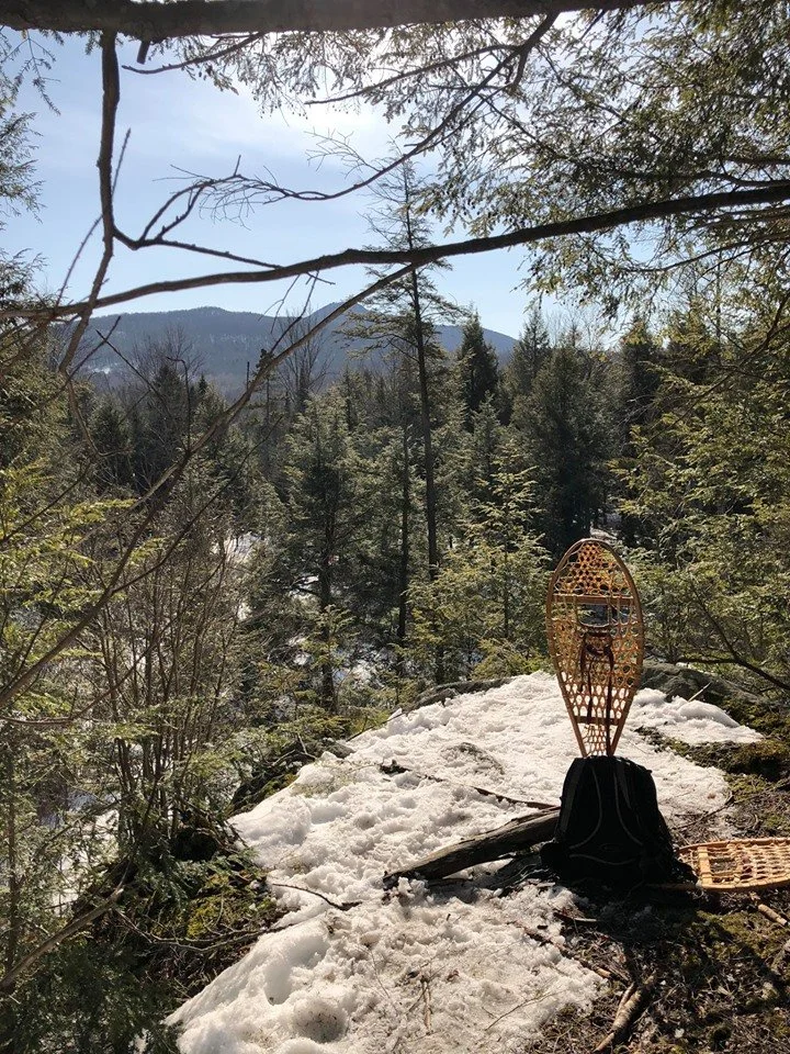 raquette vue mars 2020.jpg