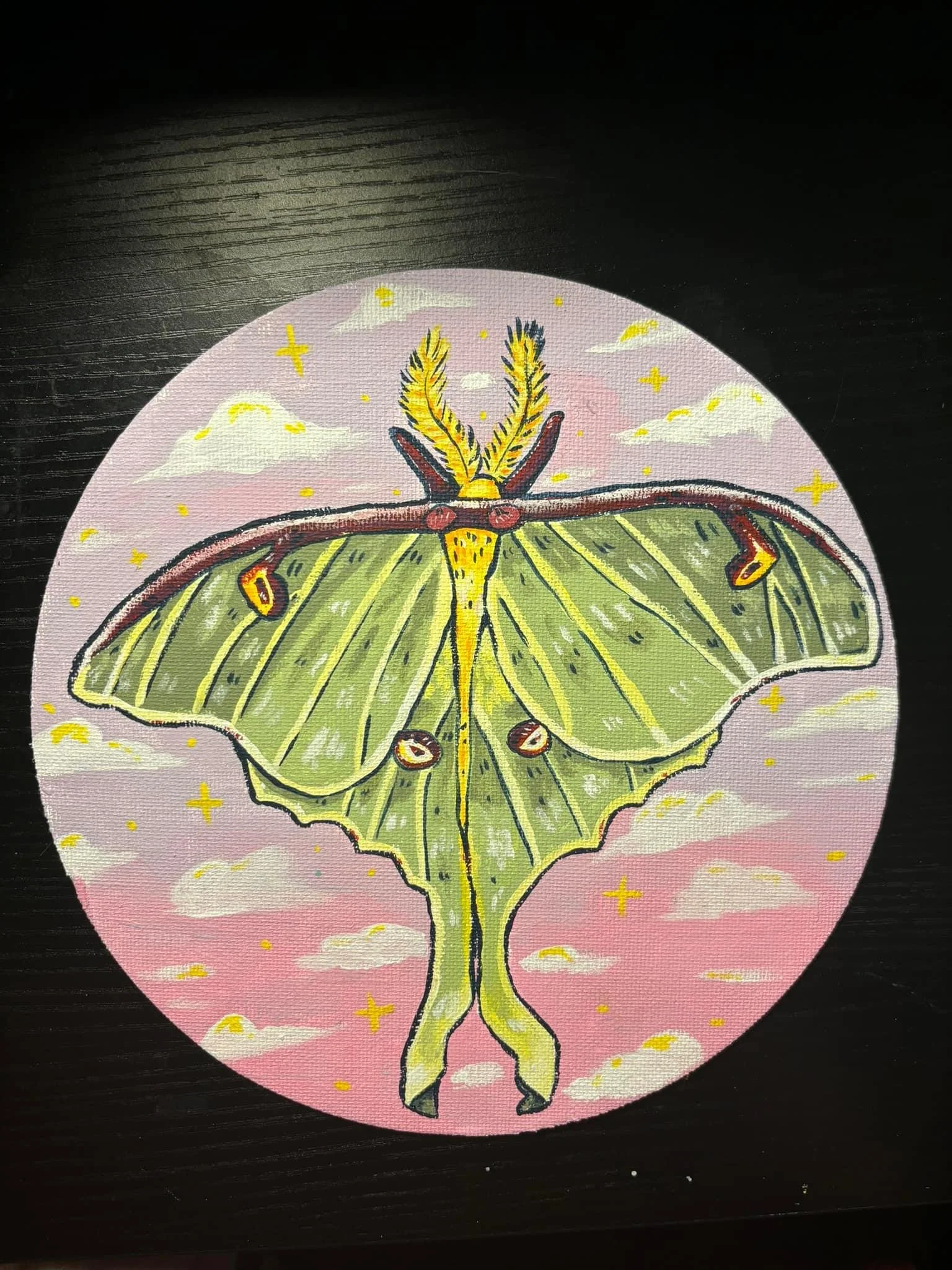 Luna moth
