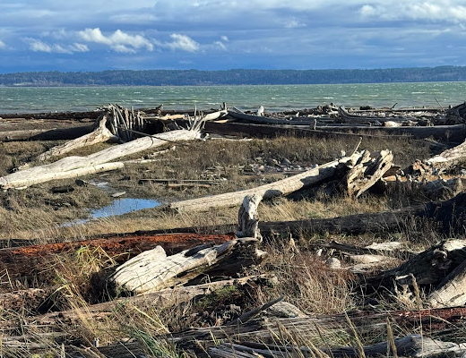 Screen Shot 2026-01-09 at 7.21.07 AM.png