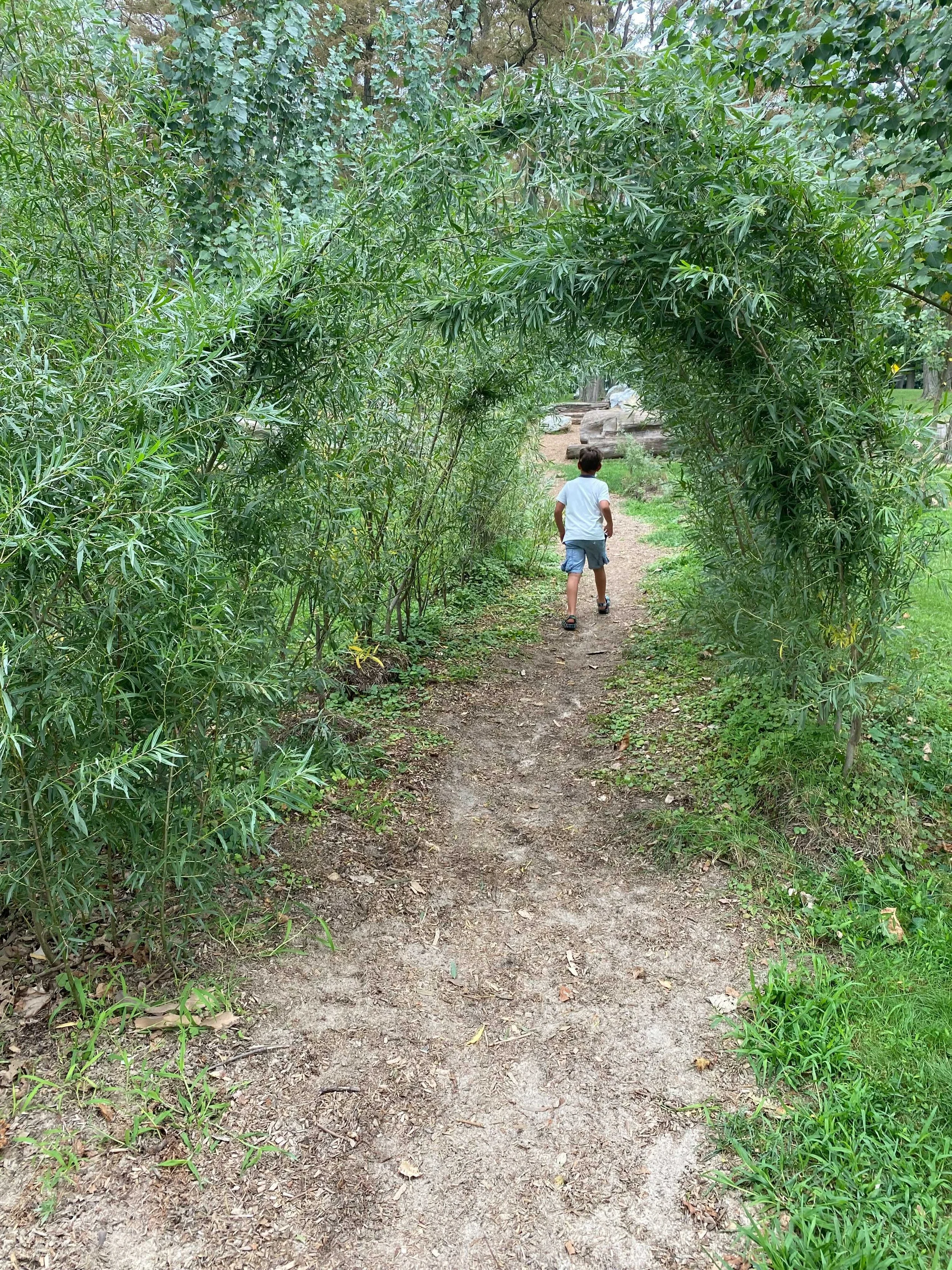 Image from iOS willows.jpg