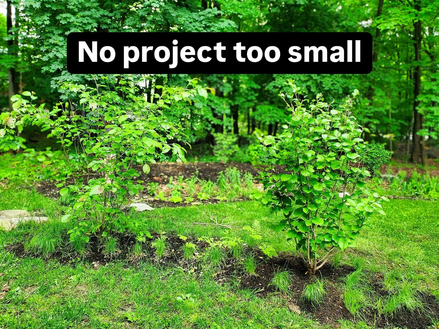 No project is too small for us. As part of our mission to address the global environmental crisis, we focus on impact&mdash;not size. While we&rsquo;re known for taking on large-scale projects, we take just as much pride in offering solutions at ever
