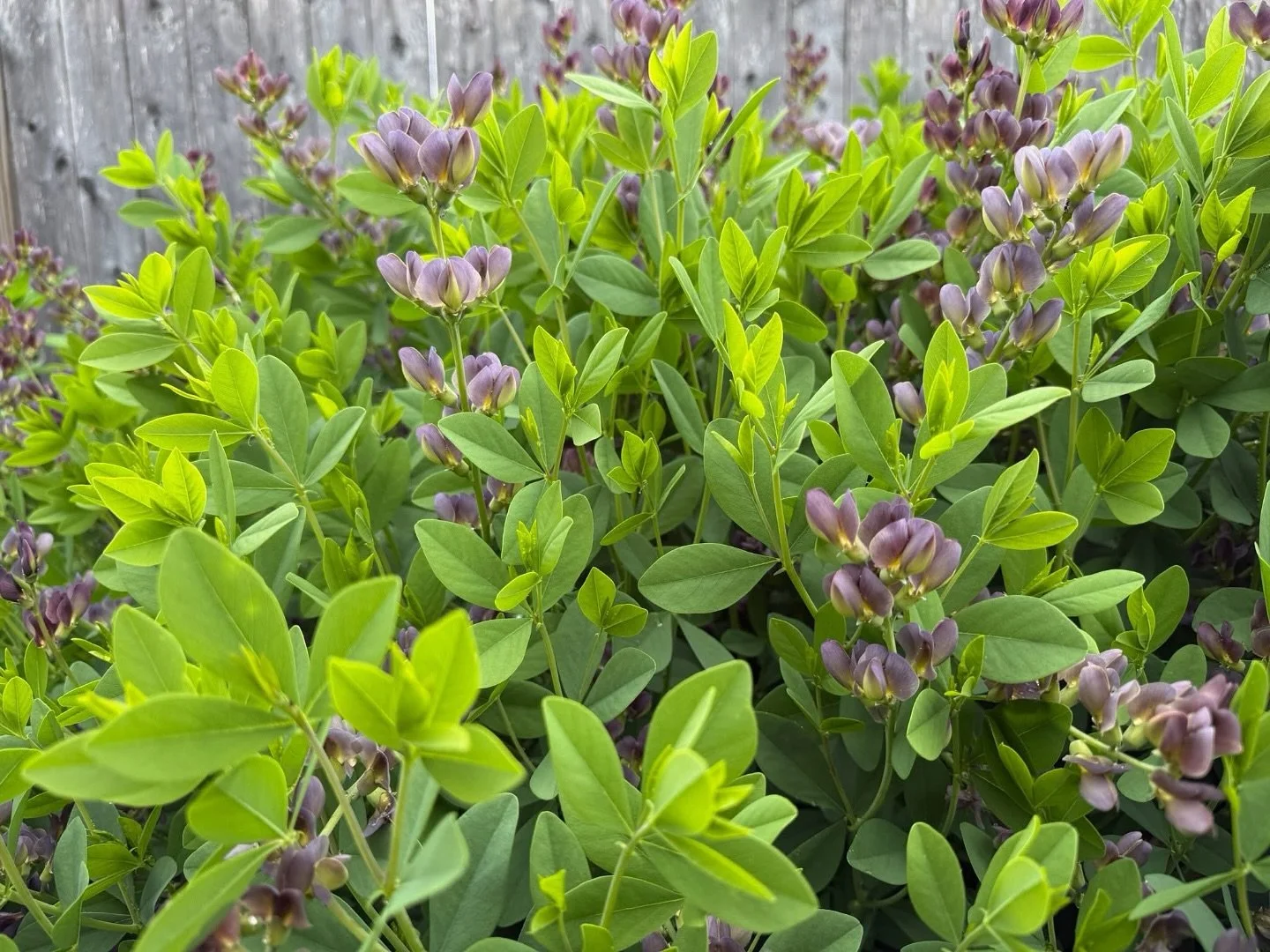 TAILGATE TALK EVENT with One Nature 
&ldquo;working with the environment in suburbia&rdquo;

Date: June 1
Time: 10am
Location: fishkill highway department: 2 geering way, fishkill NY

We are looking forward to our next Tailgate Talk Town of Fishkill 