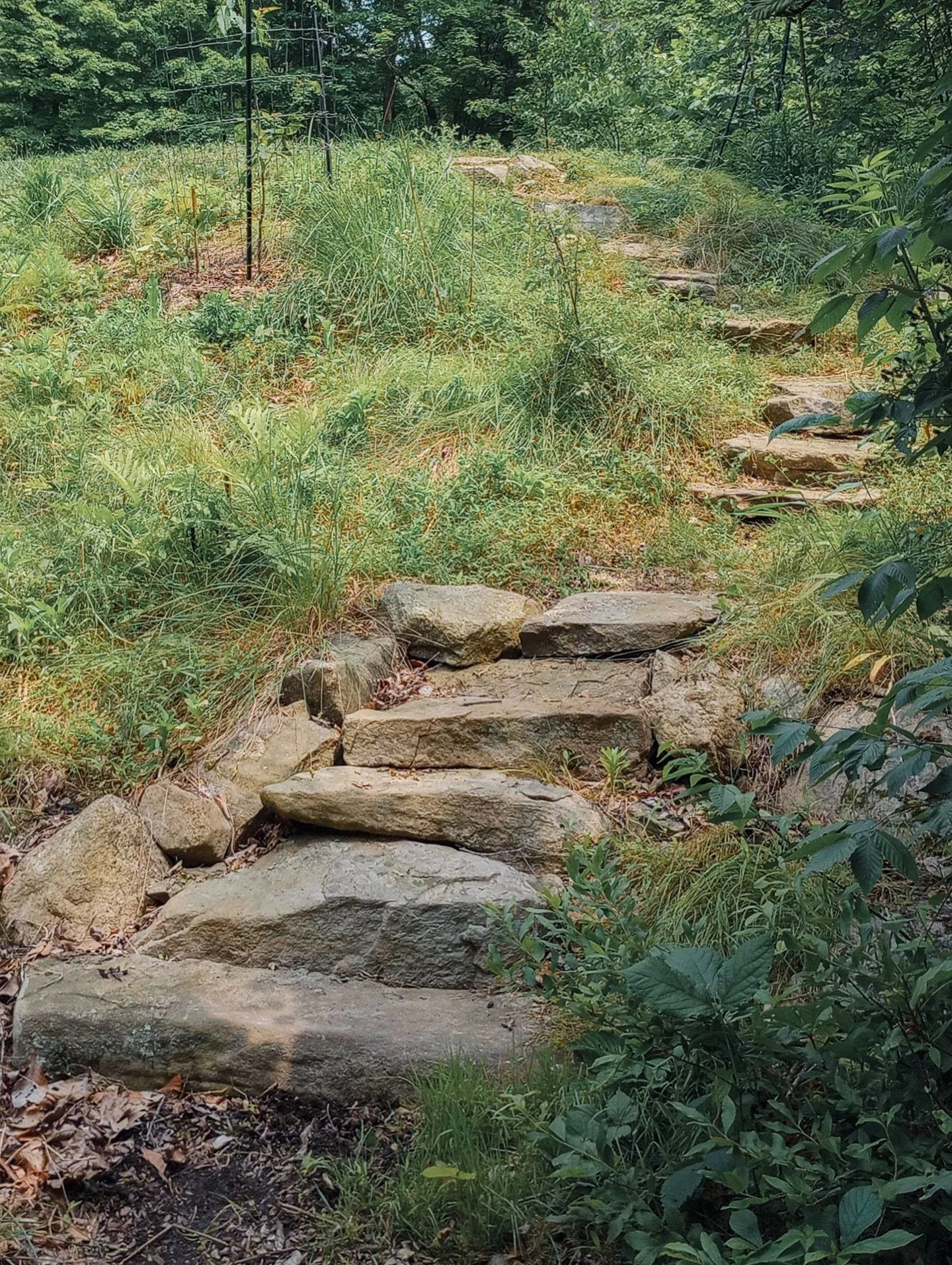 2025 / 2021
✨ The most lasting art is the one that disappears. ✨

Stone set by hand on a mound of dredged pond silt&mdash;what the machine pulled out, we shaped, planted, and stepped into place.

First year: bare soil, quiet stone, young roots.
Third