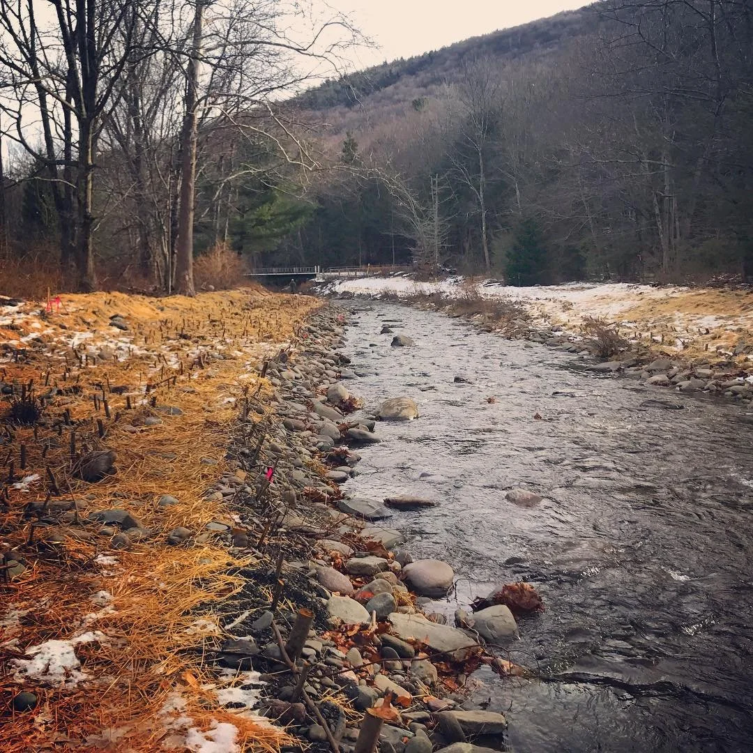 bushkill4.jpg