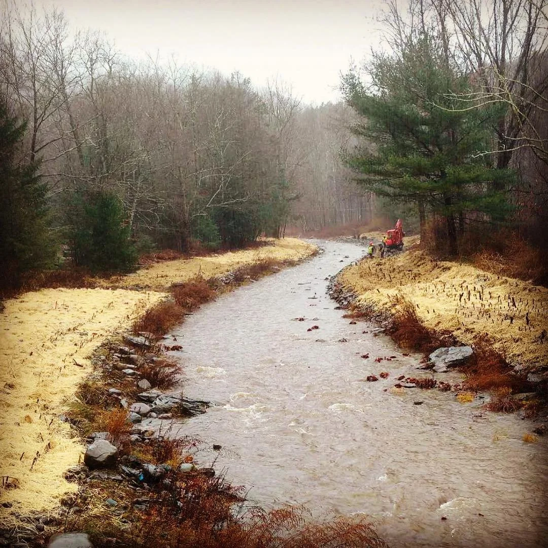 bushkill2.jpg