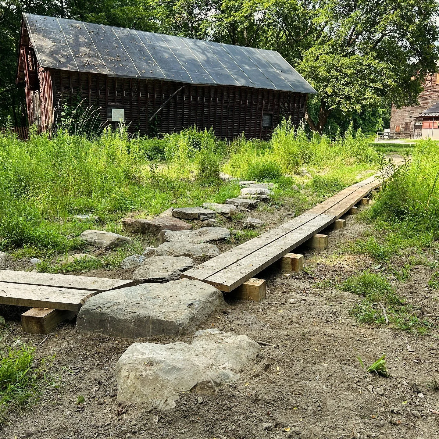 Our studio was honored to receive an artist&rsquo;s commission to create this new installation at the Vassar Learning Forest&mdash;an immersive, plant-centered experience designed for visitors of all ages. For many years, the site served as a storage