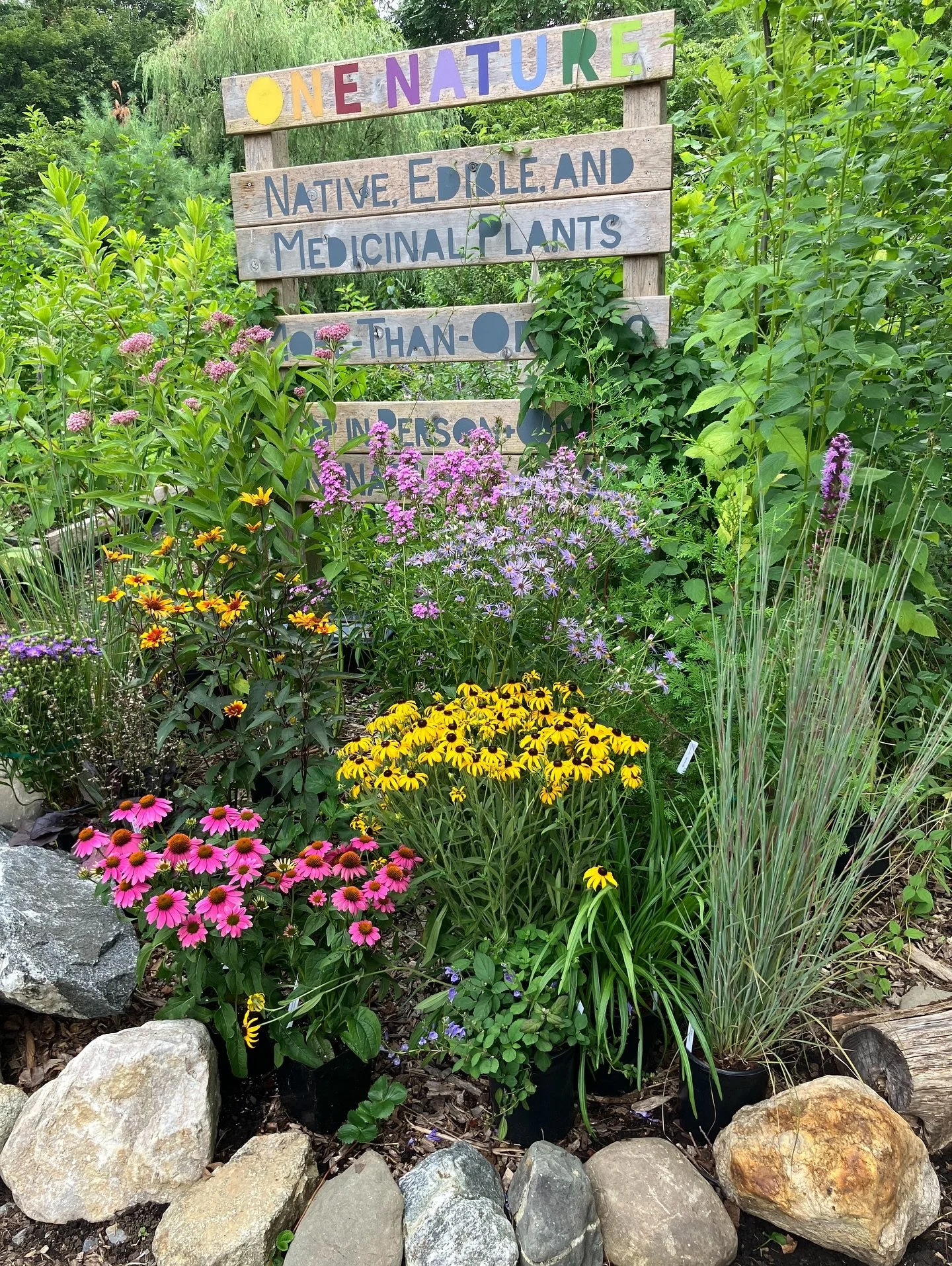 This week, we&rsquo;ve been able to put a variety of new native plants into our inventory.

As Wangari Maathai once said, &ldquo;When we plant trees, we plant the seeds of peace and hope.&rdquo; The same is true for all native plants. They bring beau
