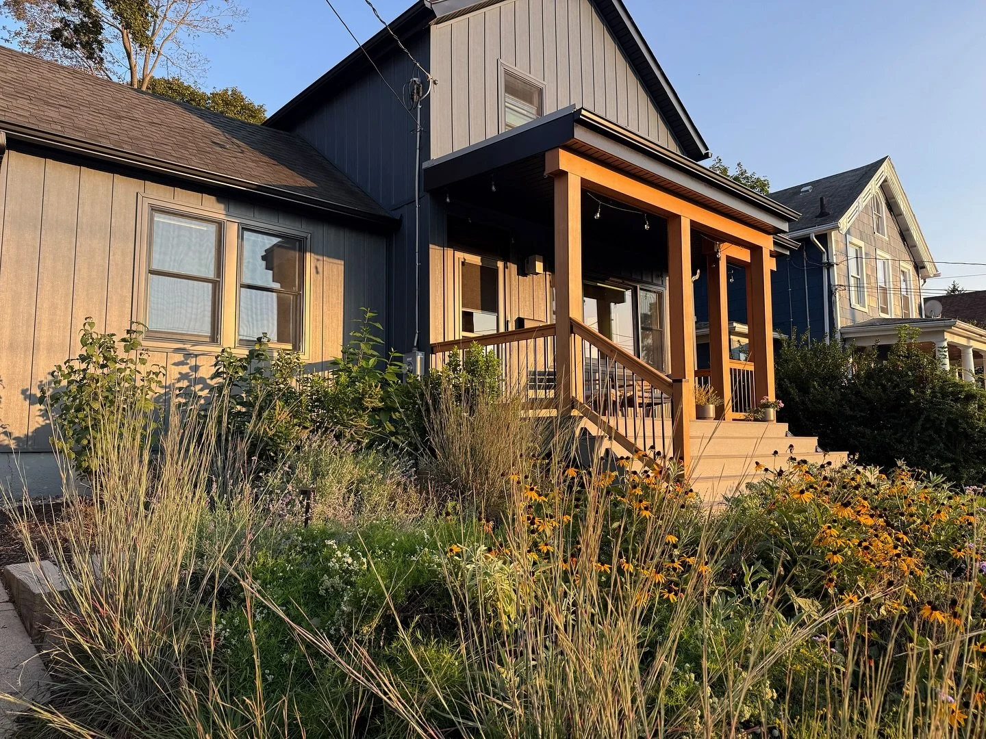 Not too bad for two years of growth! This little front yard we built in 2023 is a perfect example of how native plant-based gardens, rooted in an appreciation for wildness, can beautify a neighborhood. Even while rejecting suburban &ldquo;non-place&r