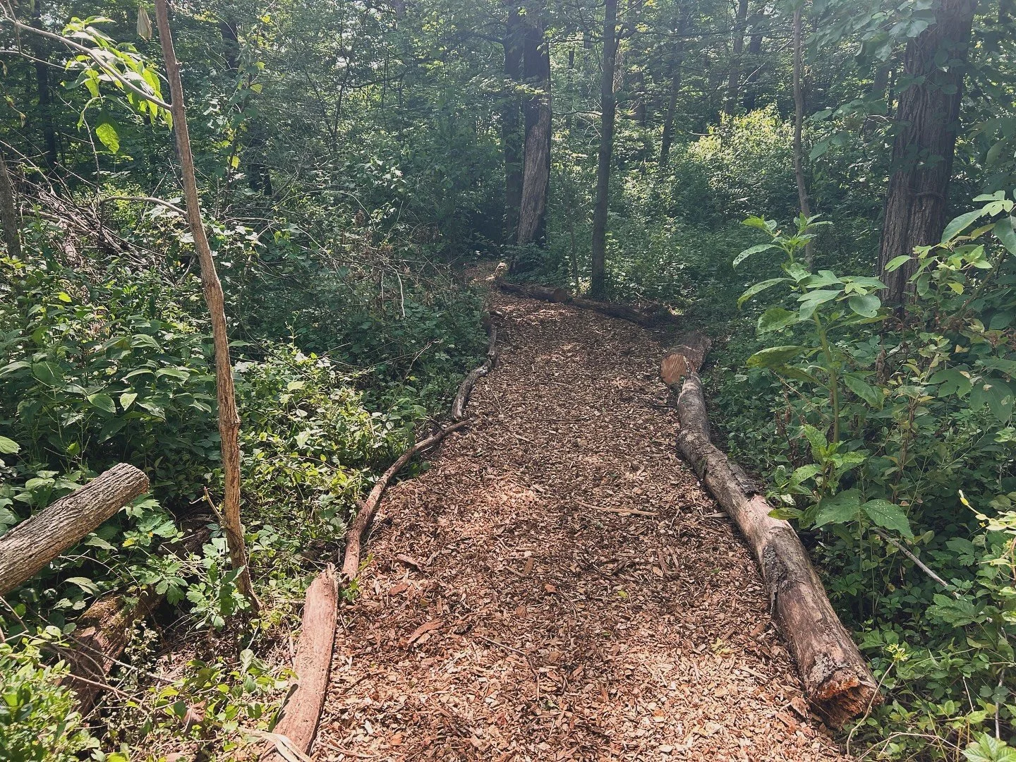 Green cemeteries are gaining popularity as more people seek end-of-life options that reflect their environmental values. Rather than relying on embalming chemicals, concrete vaults, or intensive landscaping, green cemeteries support natural decomposi