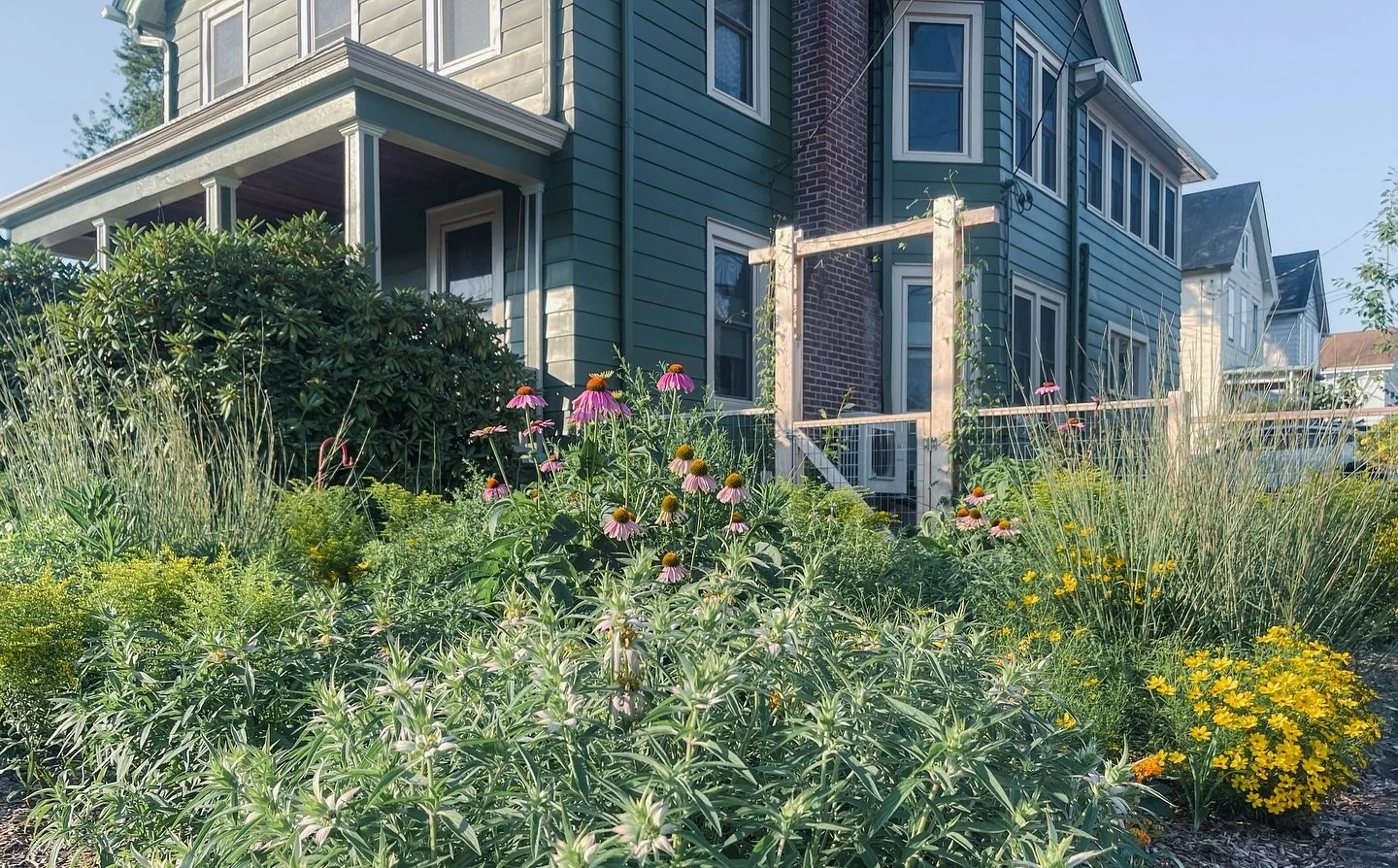 Pocket Meadow &amp; Edible Landscape