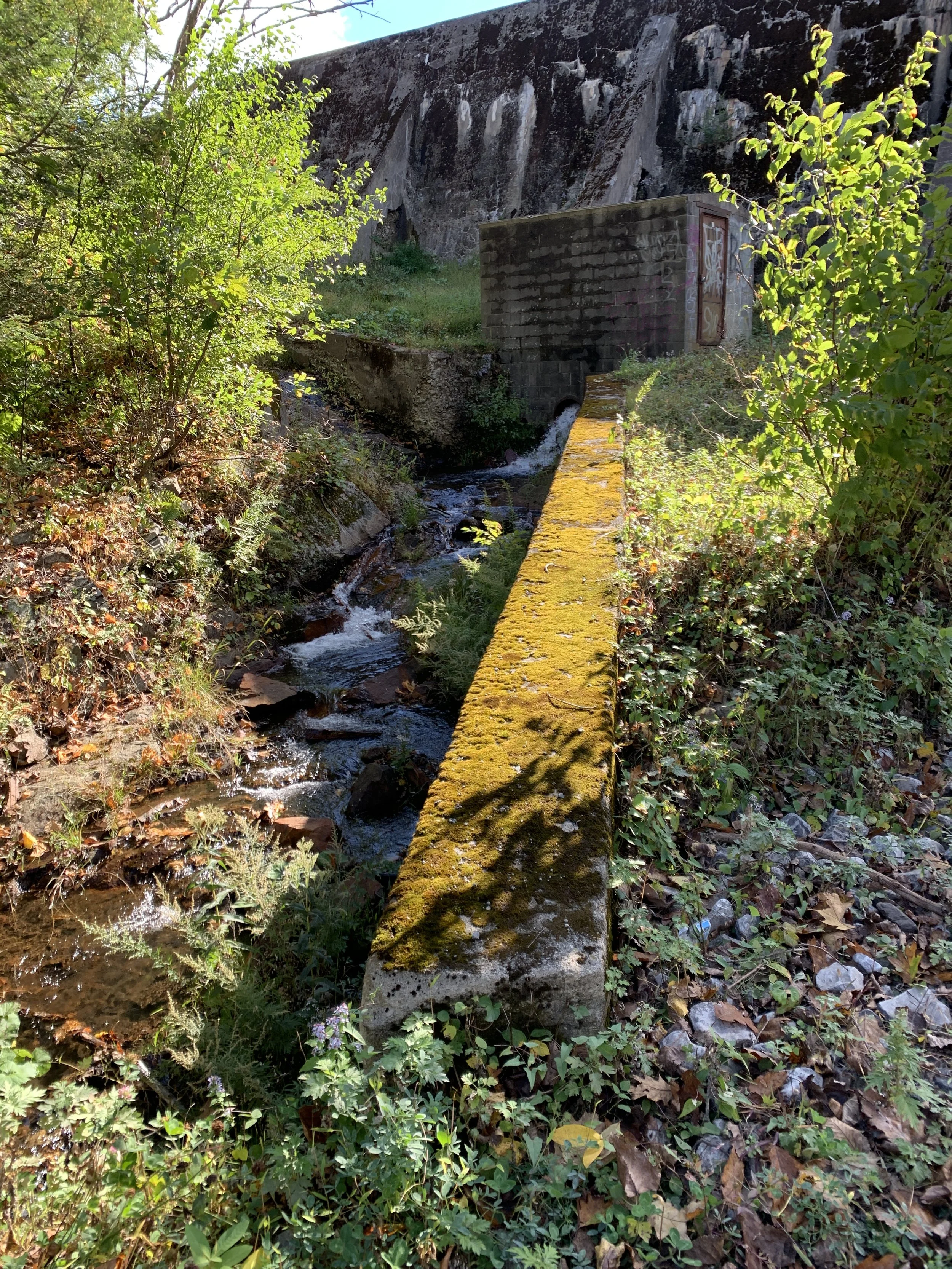 Main stem of Dry Brook exiting below the dam
