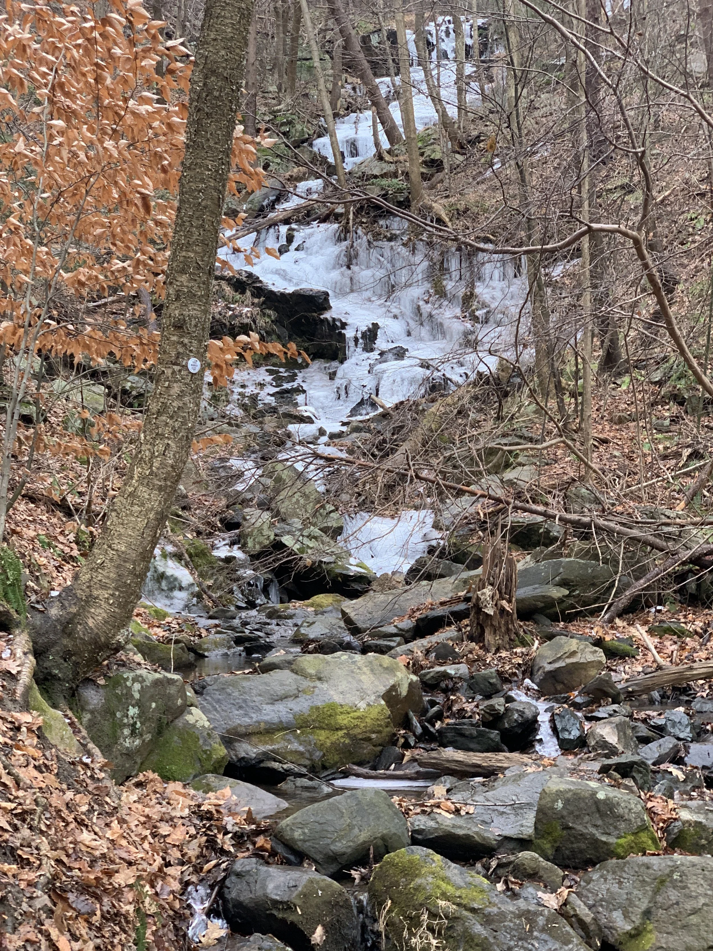 The frozen Horsetail Falls as the brook descends the mountainside