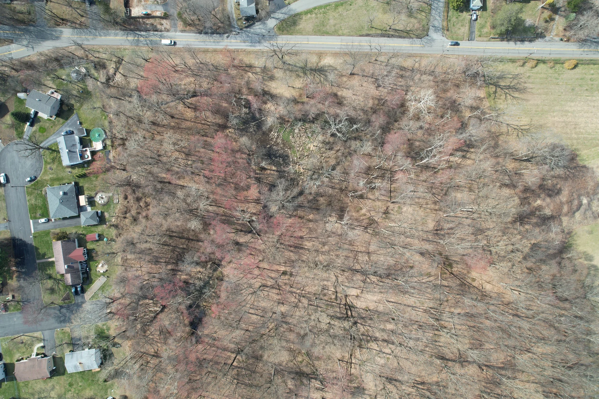 Aerial view of fragmented wetland post-residential development