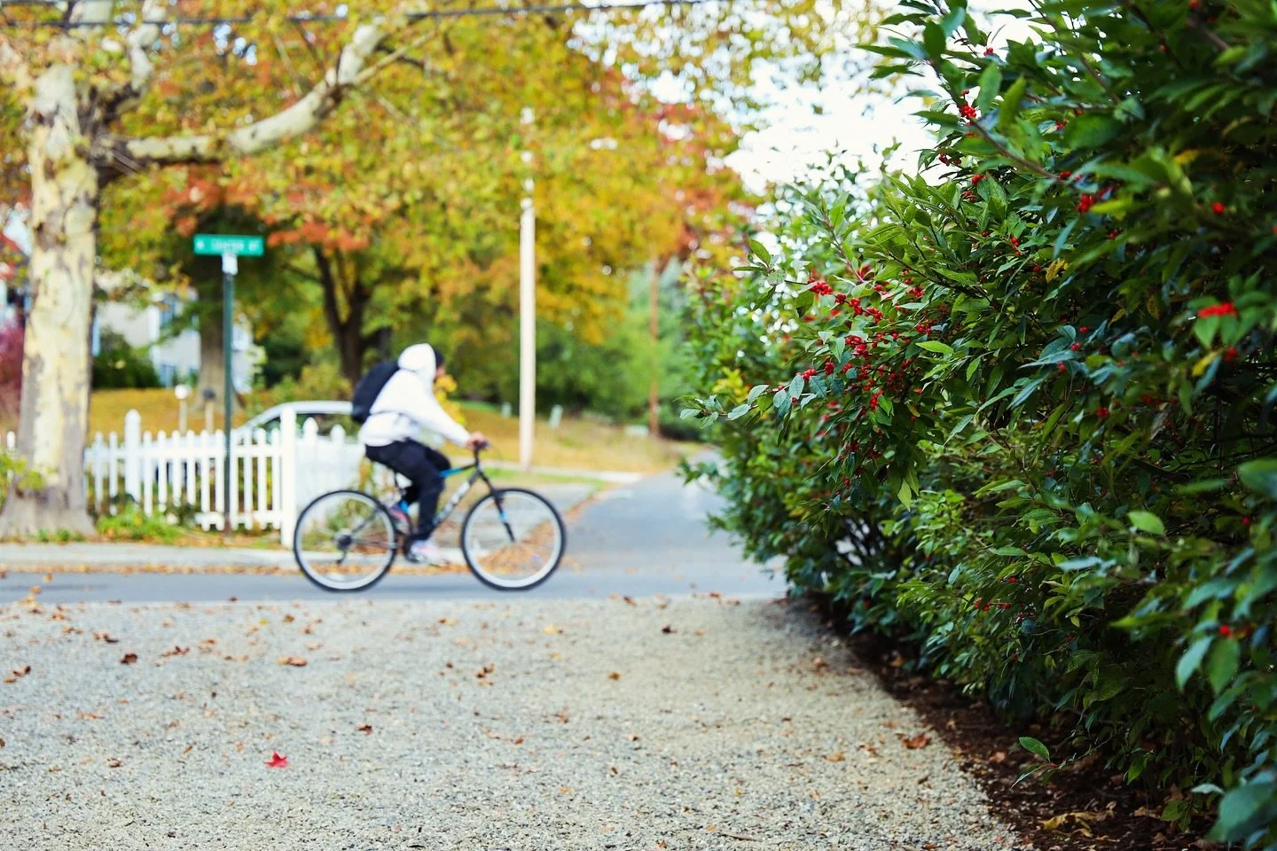 About five years ago, we built a garden for this wonderful client. When they later added a small home addition, the landscape needed an update to tie everything back together. The property sits in a shallow basin with heavy clay soils, so even light 