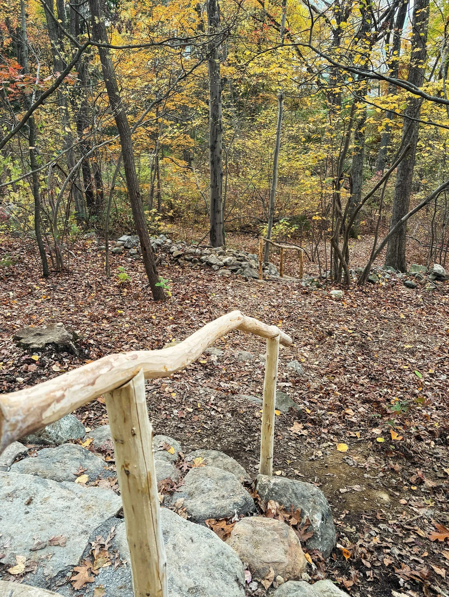 From the bones of a fallen stone wall, we called forth a new form &mdash; a staircase born from the reformation of stone. The handrails grew from trees we ourselves harvested. Wood and stone work together as a living path into the hillside &mdash; a 
