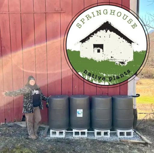We&rsquo;re honored to feature herbaceous plants this spring from @springhousenativeplants_ Their plants will be available at our Beacon location by mid-May.

SPRINGHOUSE is a woman-owned and operated wholesale nursery in the Poconos, Pennsylvania, o