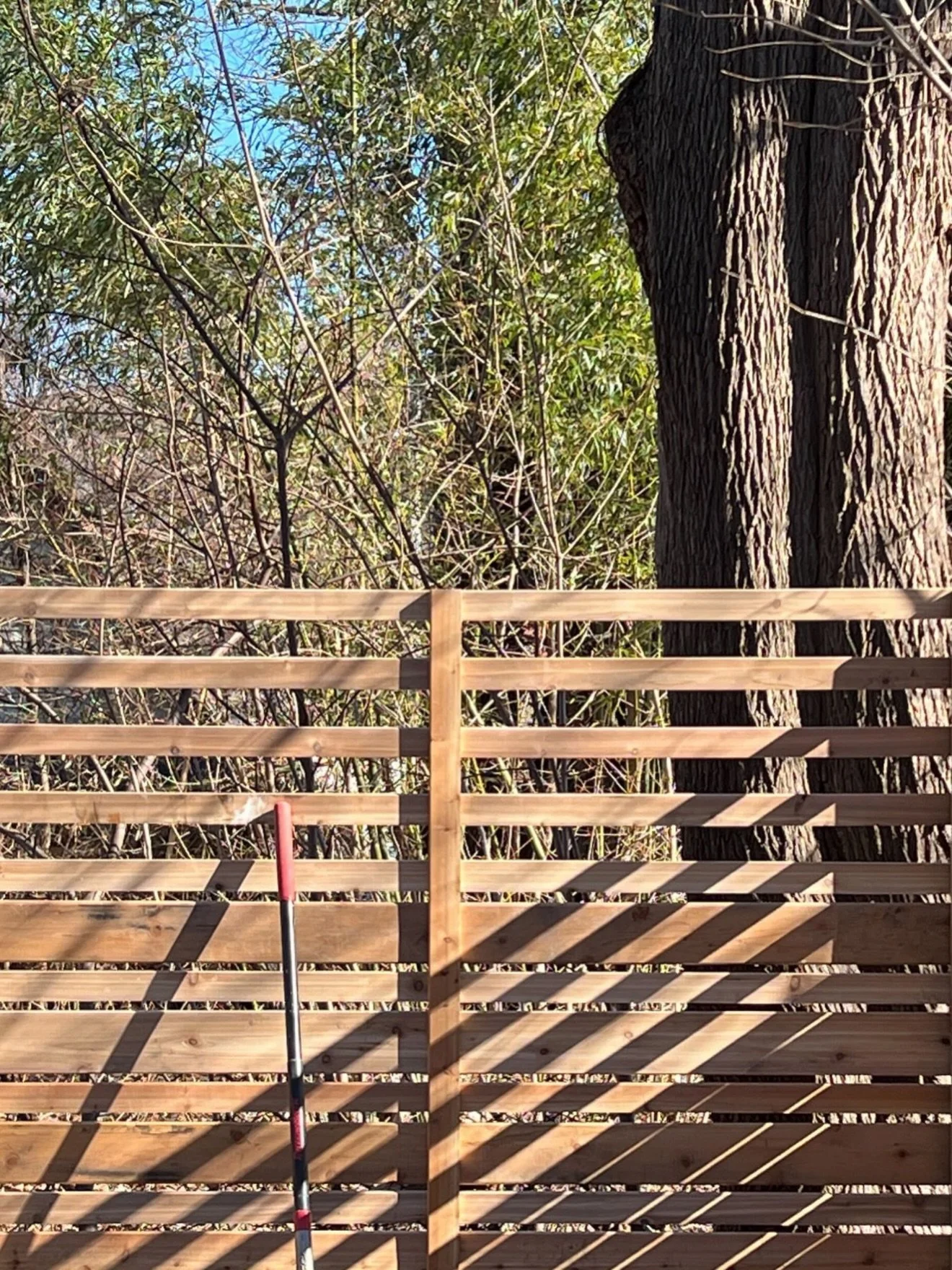 First proper fence of 2026! This original design is a semi-privacy fence. 6 feet tall, but the top two feet feature an open pattern to let in more light (plants) and contrast views of the very wild outside. What a lovely frame for this intimate littl
