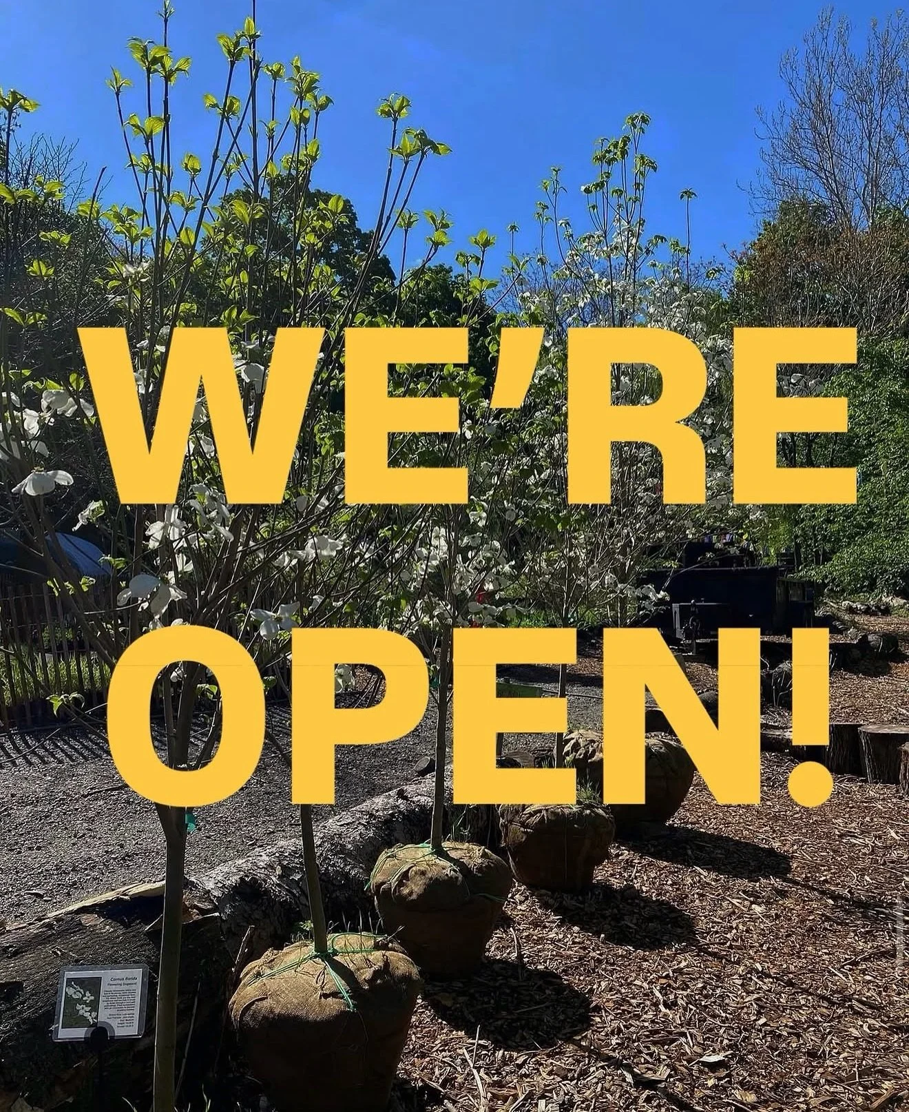 10-6, Wed - Sun. Our plants want to be free to drink sunlight, feel the soil on their roots, and grow in your garden. 3 Old Glenham Rd, Beacon NY. Or order online!