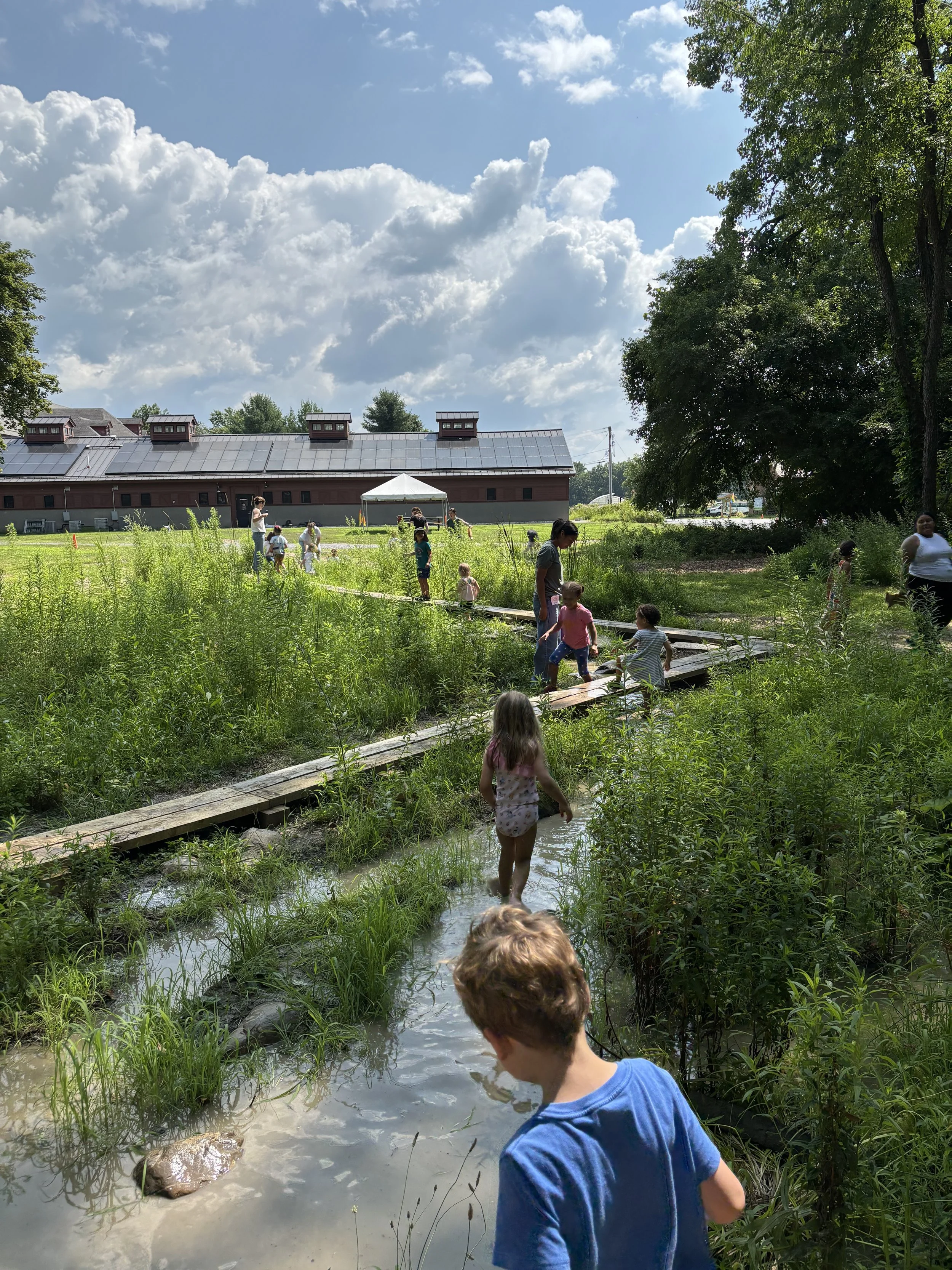 Reimagining Play: Where Ecological Systems and Community Meet