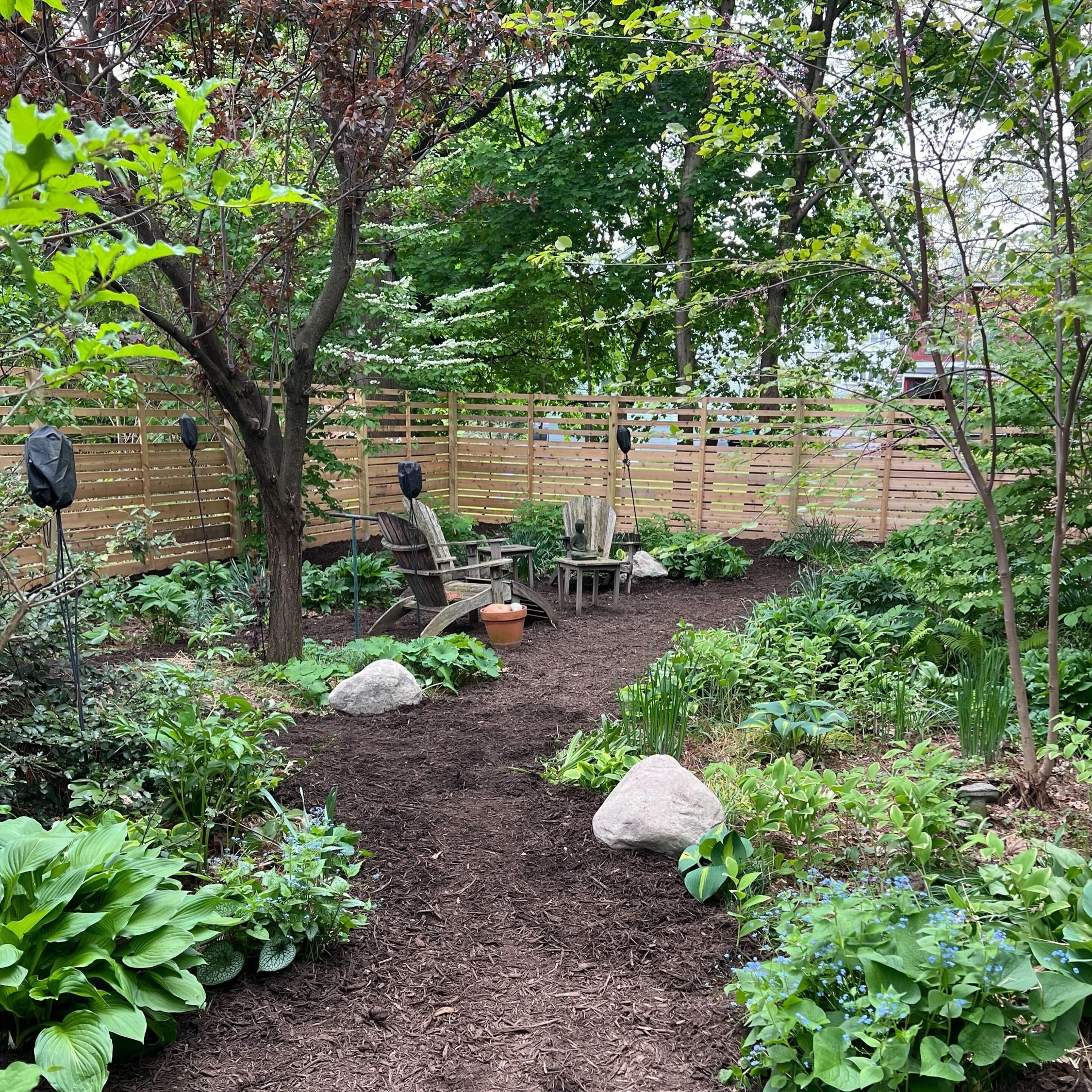Small City Shade Garden