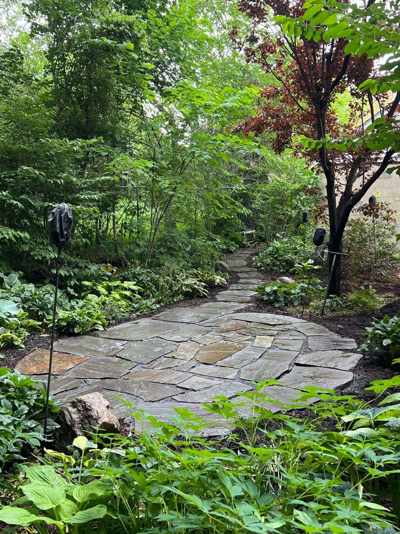 We retrofitted this shade garden with a stepping-stone entry leading to a bluestone spiral patio, all without disturbing a single existing plant. The spiral unfolds subtly, beginning with larger stones and gradually transitioning to smaller pieces as
