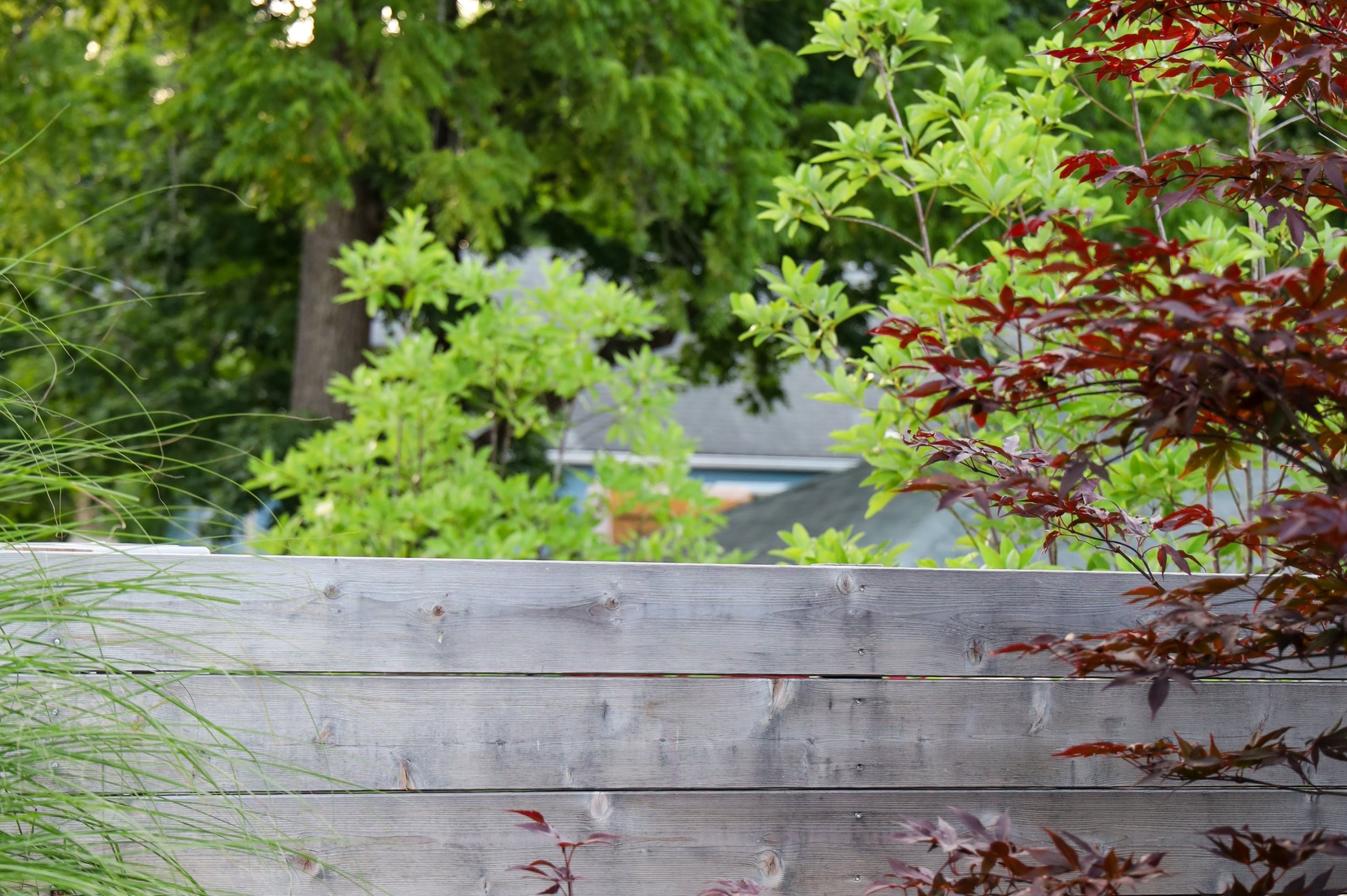 Lawnscape to Garden