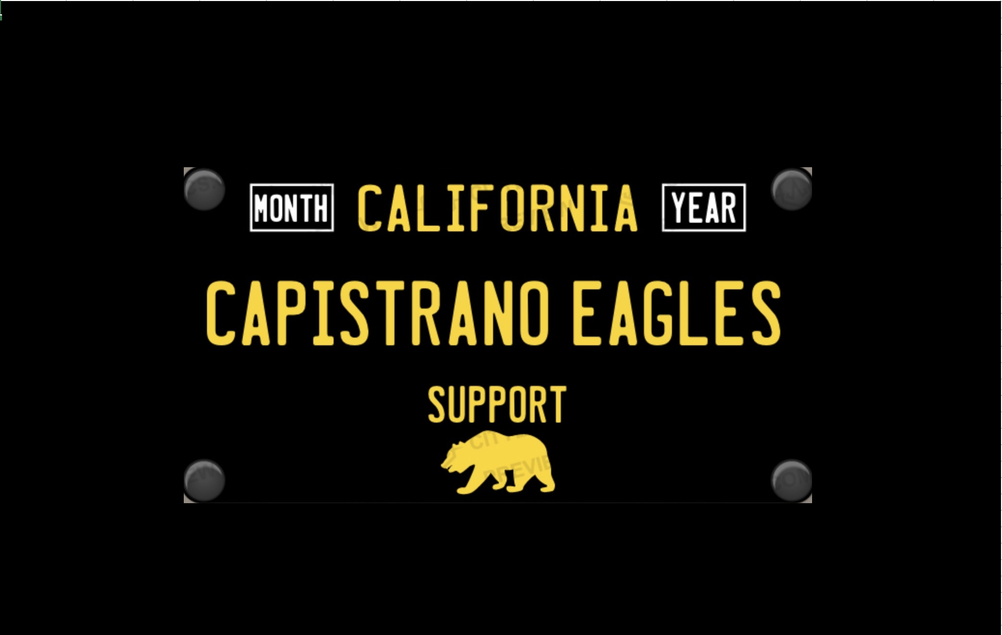 Custom Decorative Plate (Not for Vehicle Use)