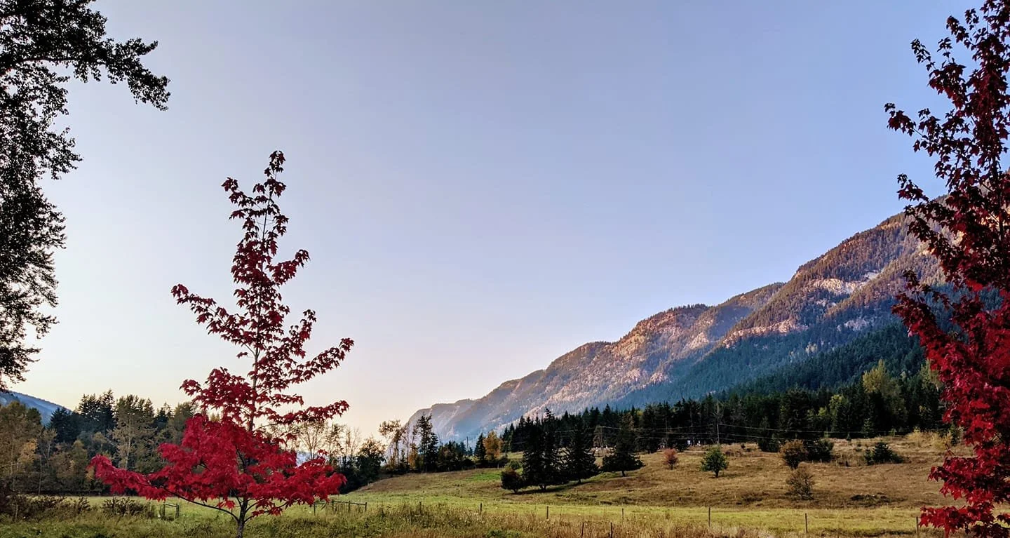 The Vineyard &amp; The Accountant: What This Series Is