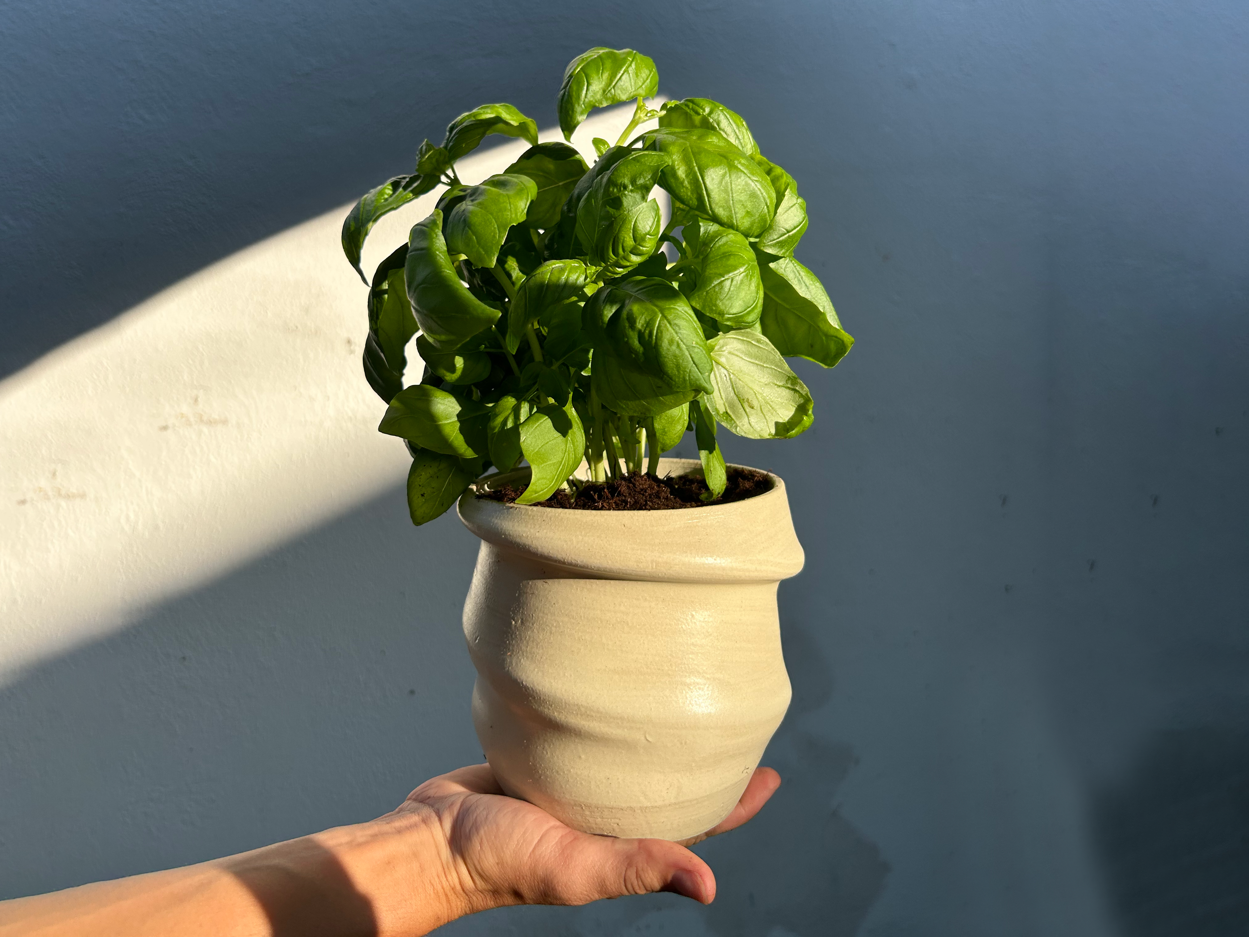 Corkscrew Planter_02.png