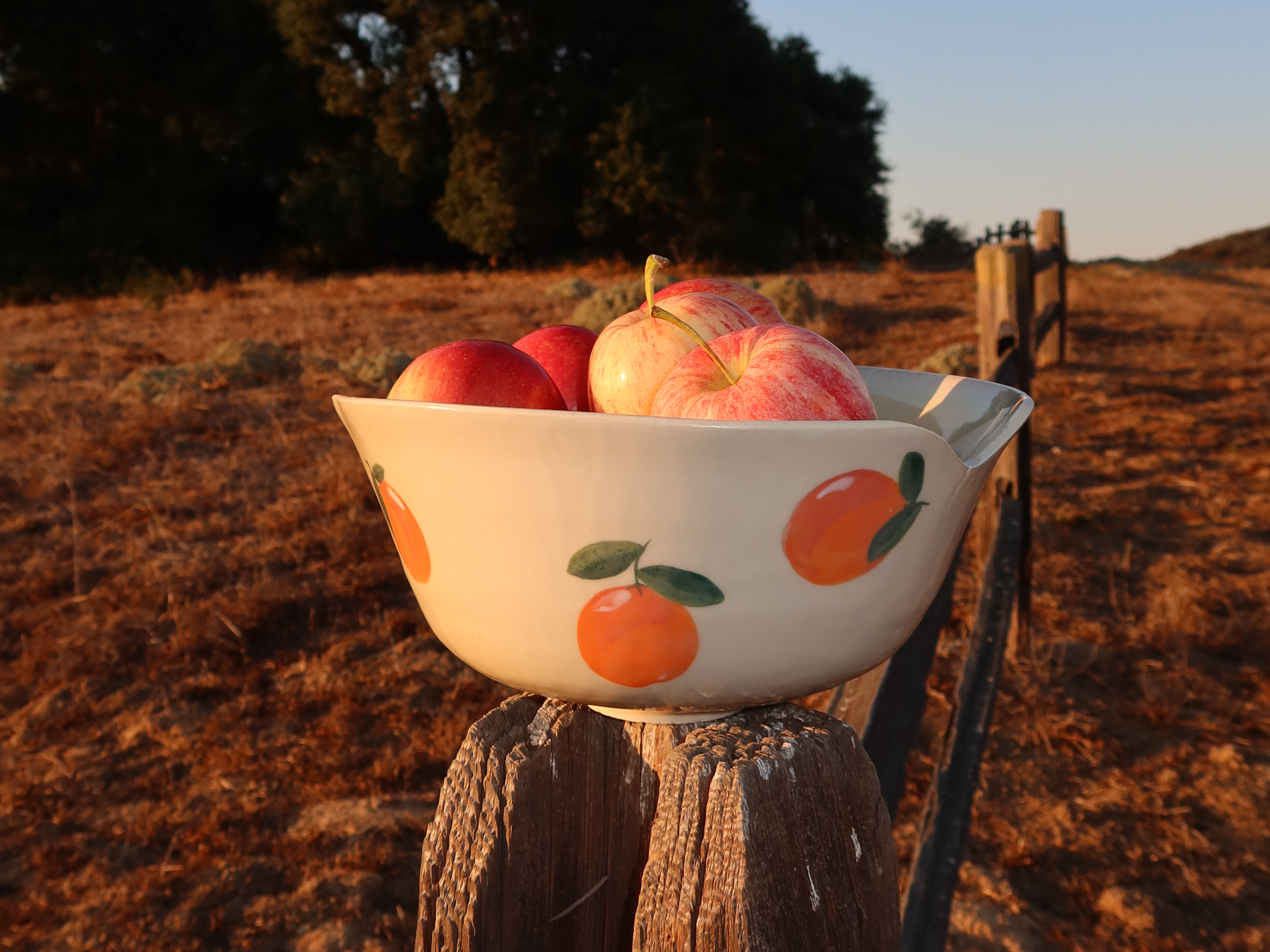 Apples_&Oranges_01.png