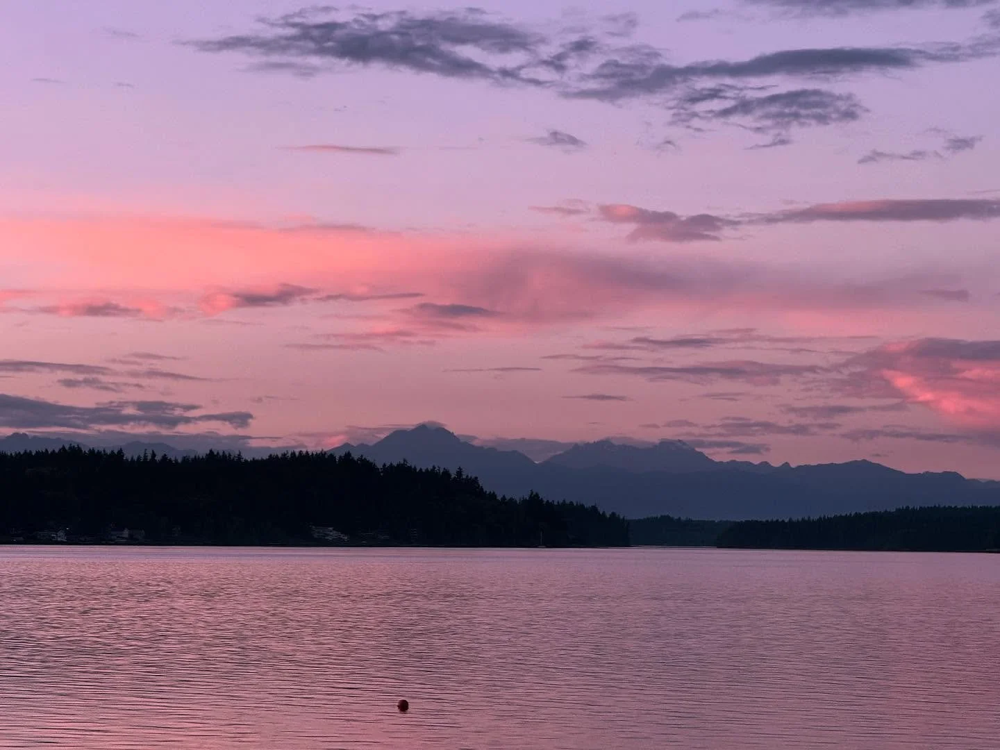 In connection with my previous post&hellip;to celebrate that which is timeless, unchanging, and doesn&rsquo;t pass away, come experience Yoga Nidra with me this Wed night at 7PST remotely on Google meets.  We will experience a 30-40 minute guided med