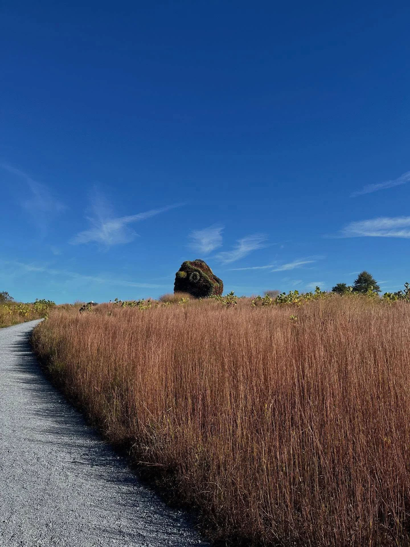 Come walk the path to inner freedom and join me at 7PM PST on Google meets on Wed 10-22 for yoga nidra.  Unwind into a state of total relaxation by setting your intention and experiencing deep rest and meditation. Yoga nidra, also known as &ldquo;yog
